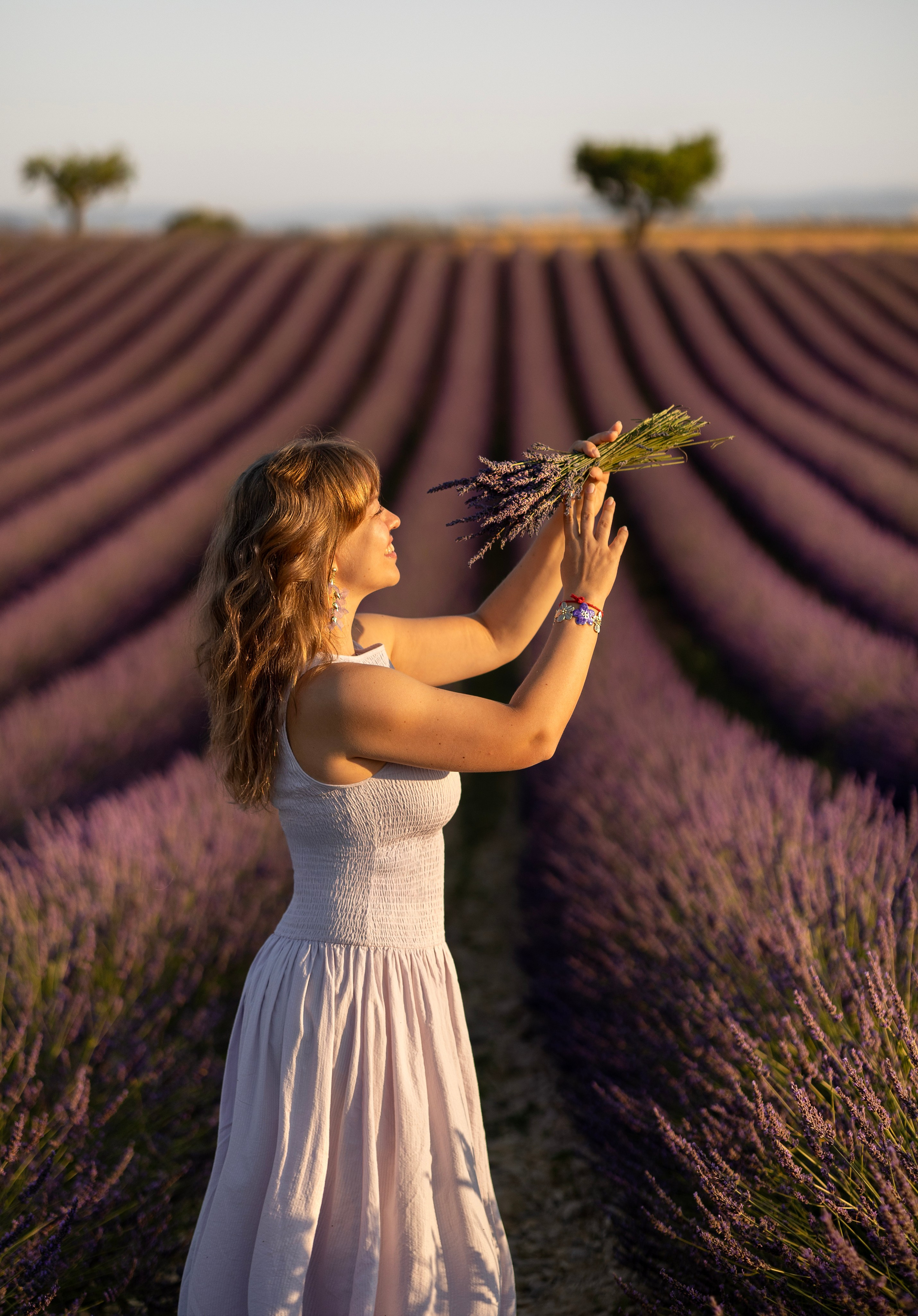 Provence. Фотограф в Мюнхене