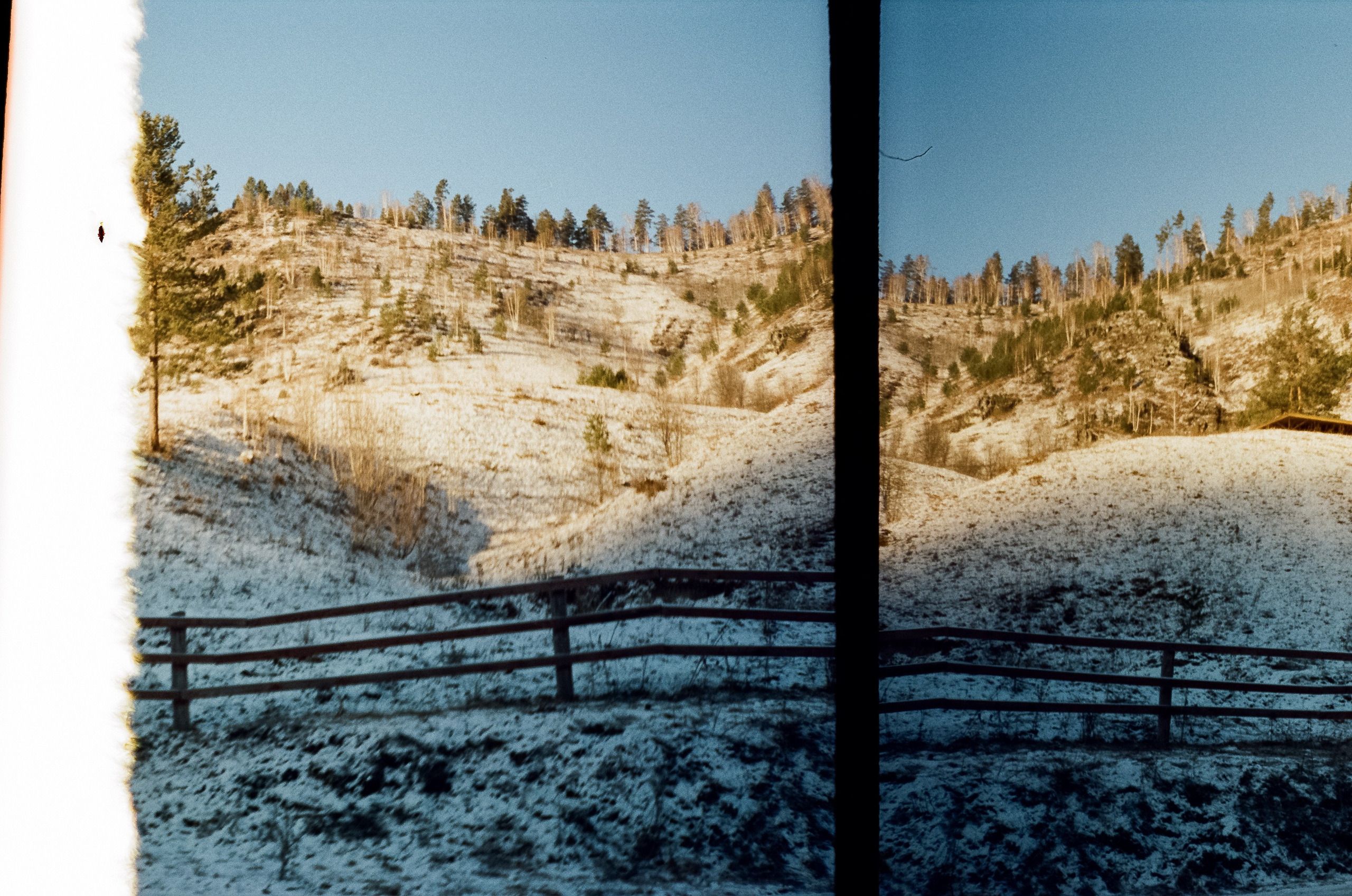 Зимняя Катунь: острова, льды, скалы у базы Берель. Зеленые сосны и. Фотограф-документалист Мария Осокина