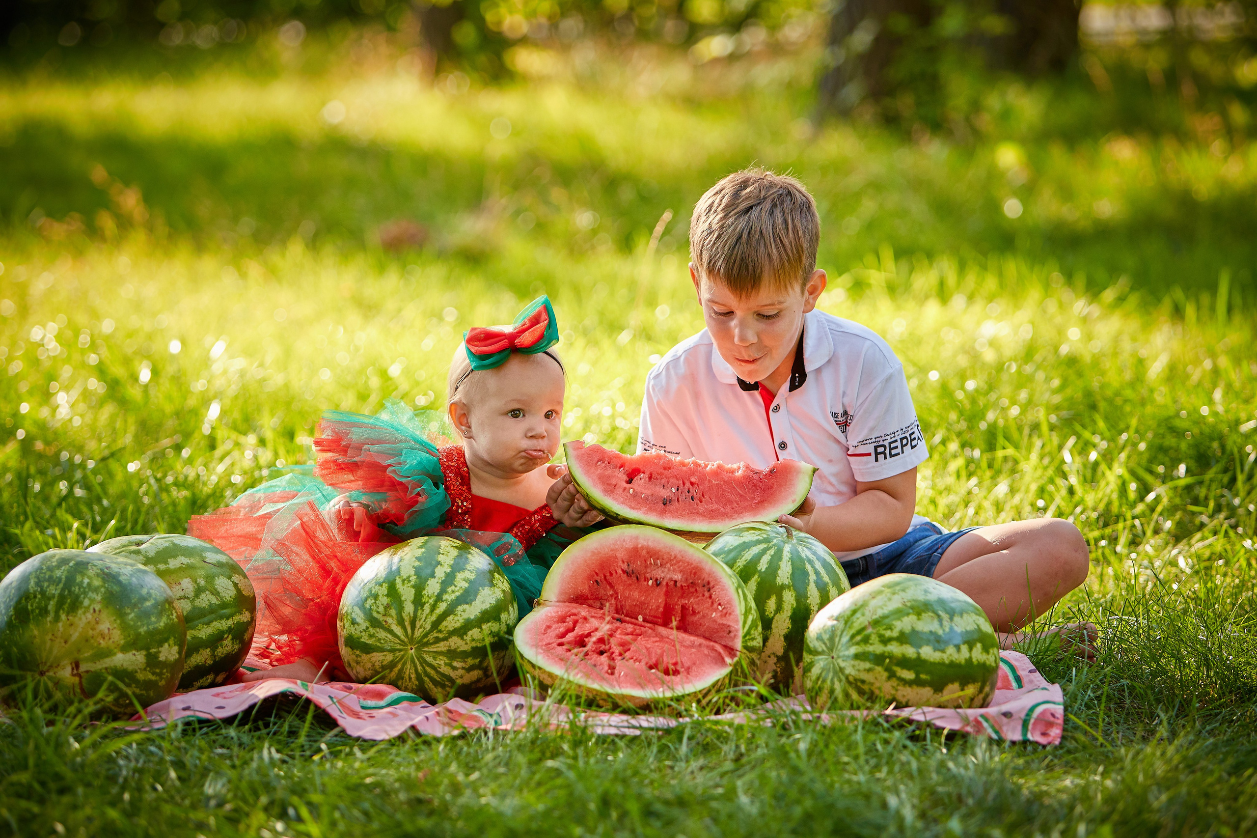 Арбузы на природе. Разножанровый Фотограф в Омске Артём Руднев