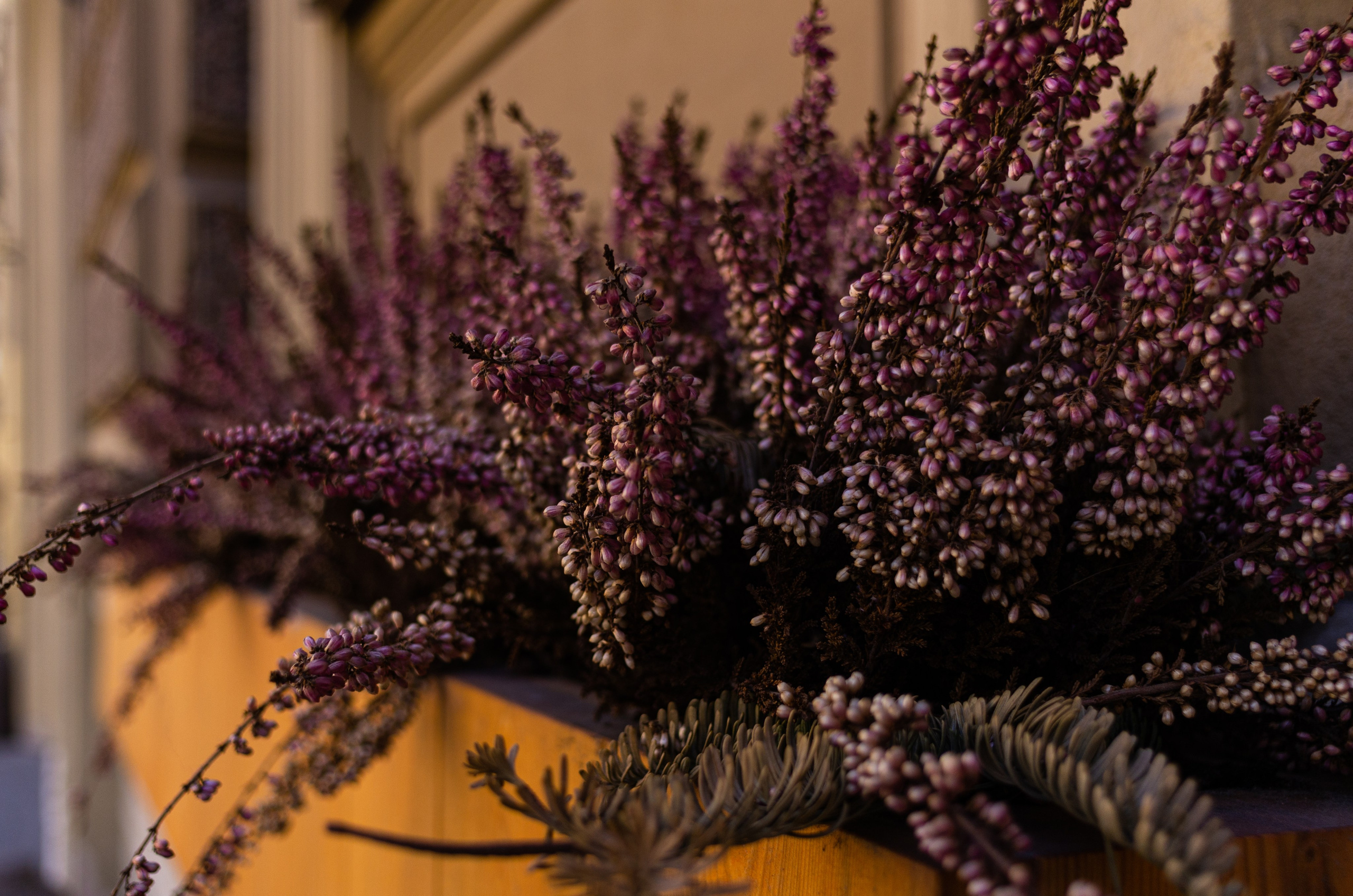 Интерьер и детали. Коммерческий фотограф в Москве Садовников Алексей