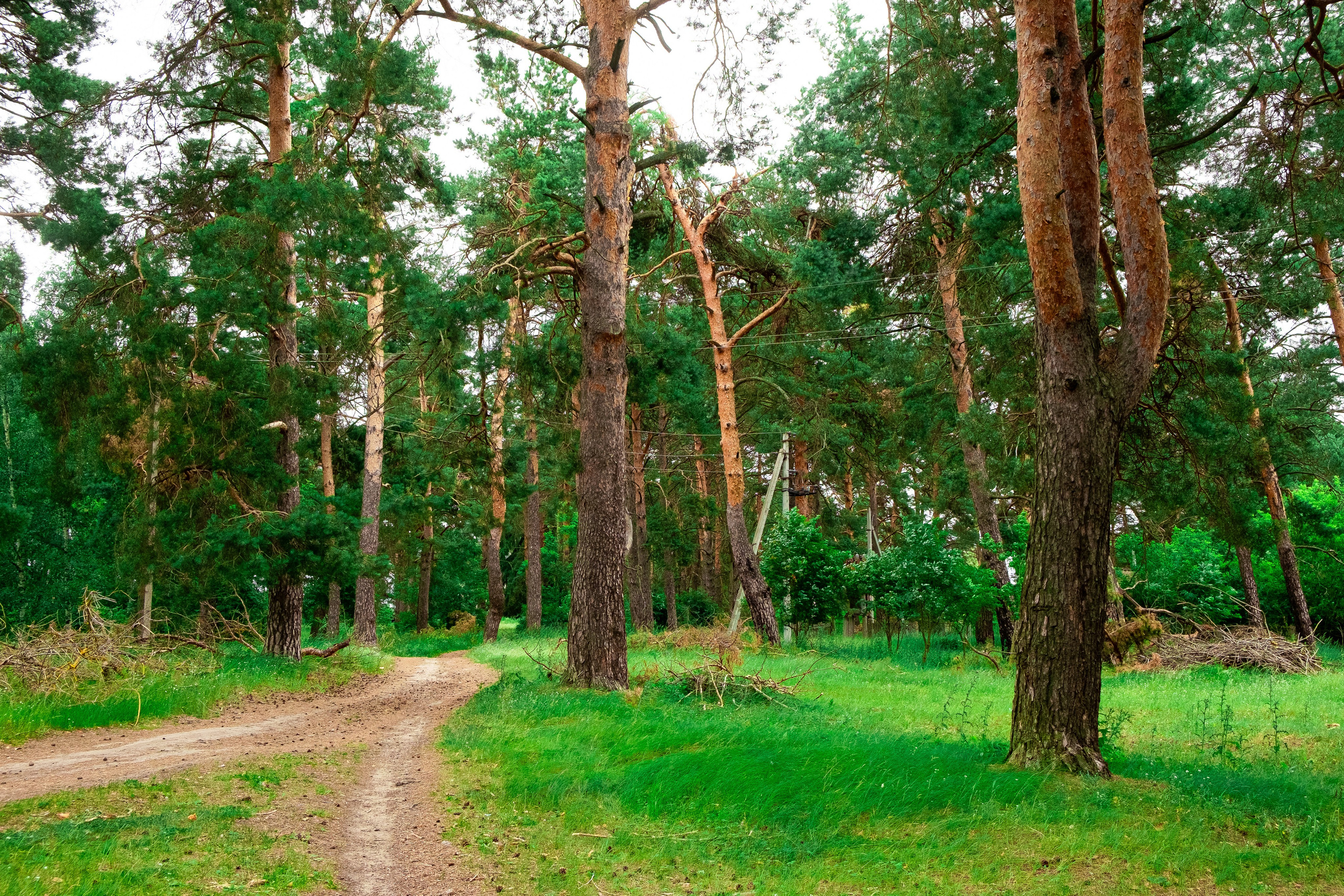 Краснослободский район. Село Старое Синдрово. Кинокомиссия Республики Мордовия