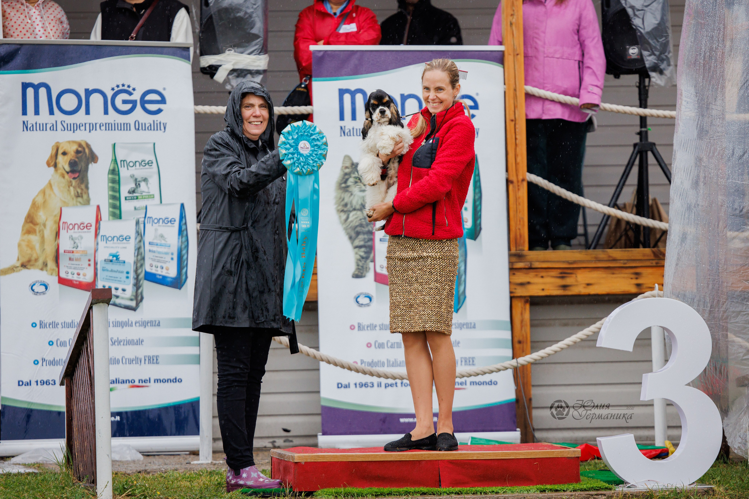 Армения,Ереван 3хCACIB 15-17.10.2024. Фотограф-анималист Юлия Германика