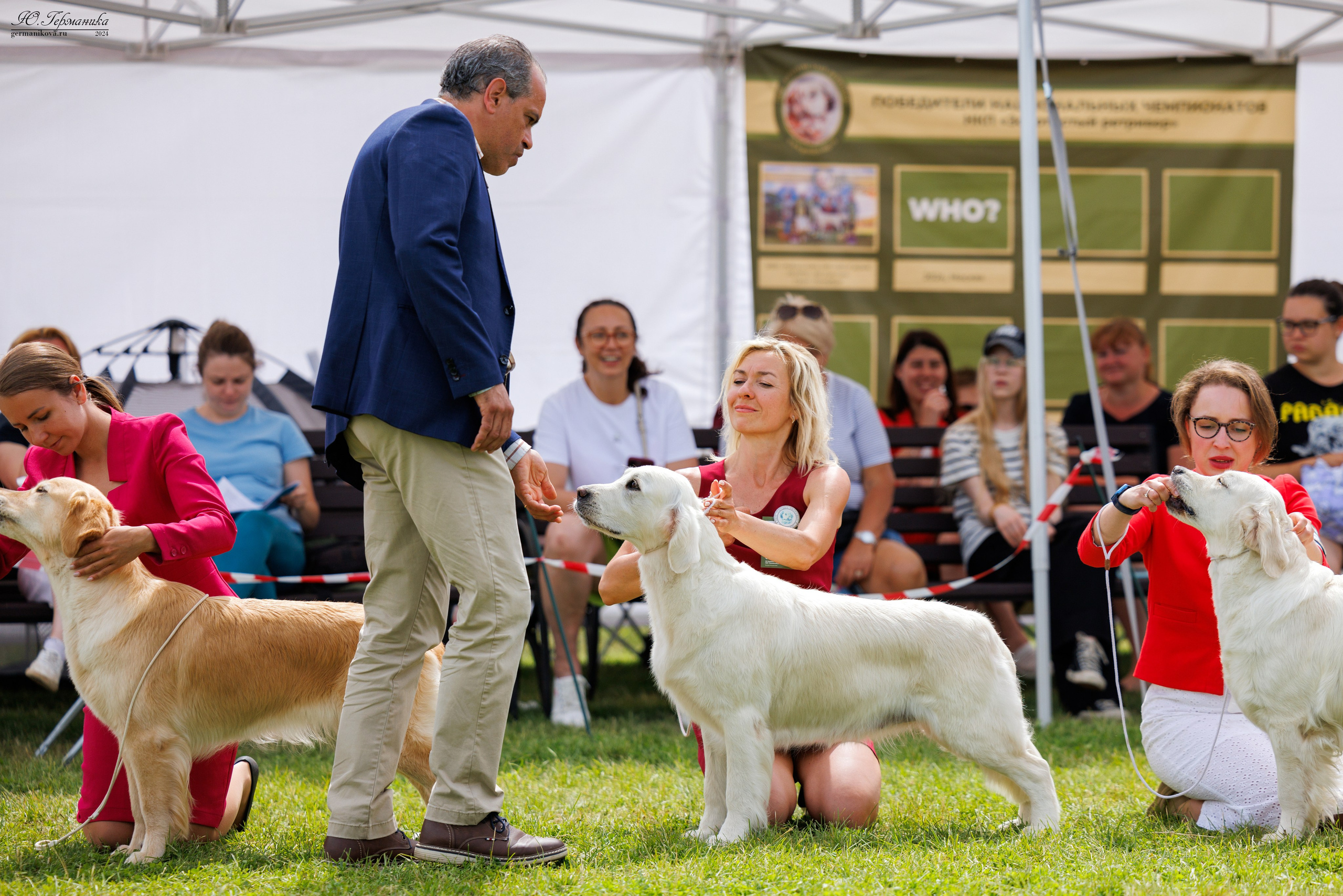 Голдены 15-16.06.2024. Фотограф-анималист Юлия Германика