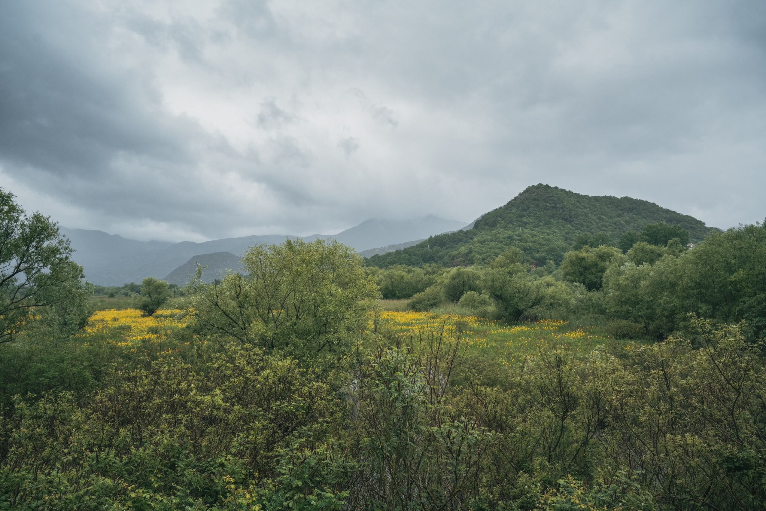 СКАДАРСКОЕ ОЗЕРО. ЧЕРНОГОРИЯ. Фотограф в Белграде Чугреева Елена