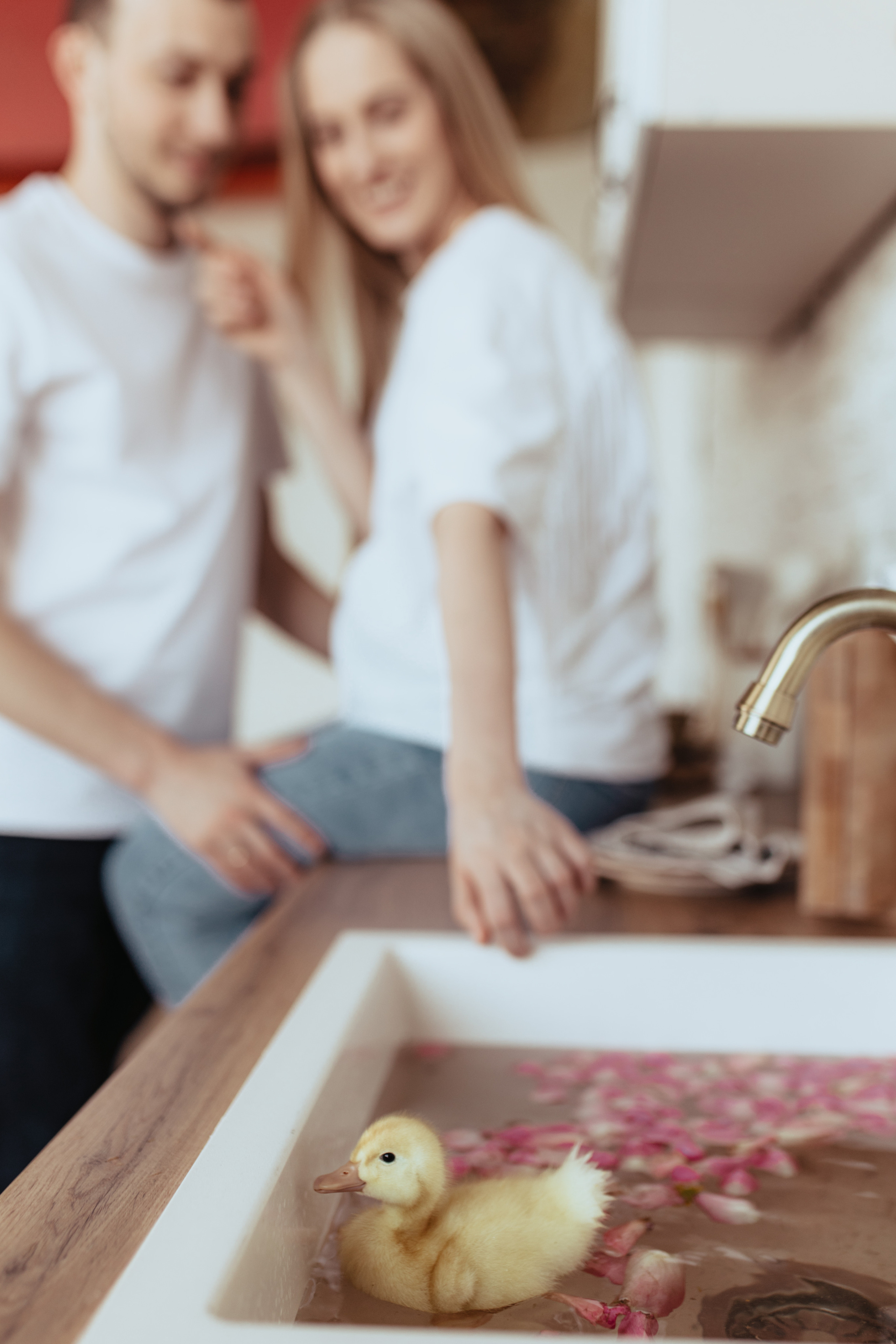 Алина и Женя. Свадебный фотограф Елена Рубцова