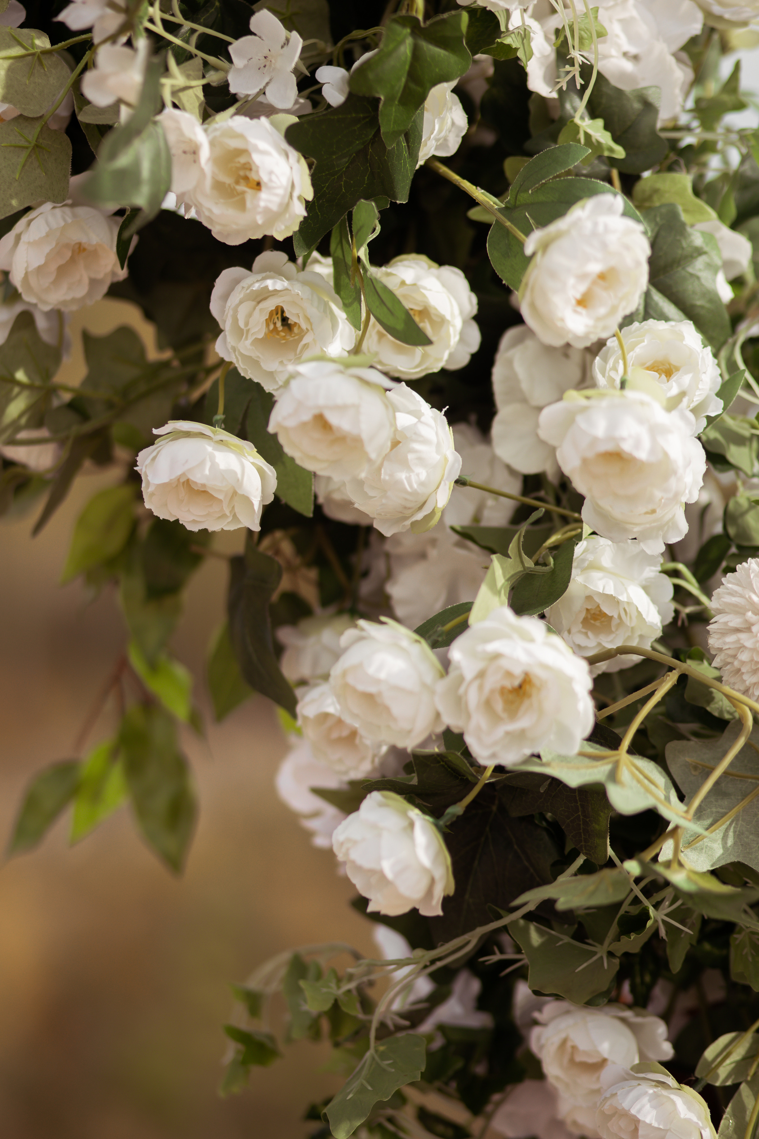 В кругу самых близких и любимых. Свадебный фотограф Елена Рубцова