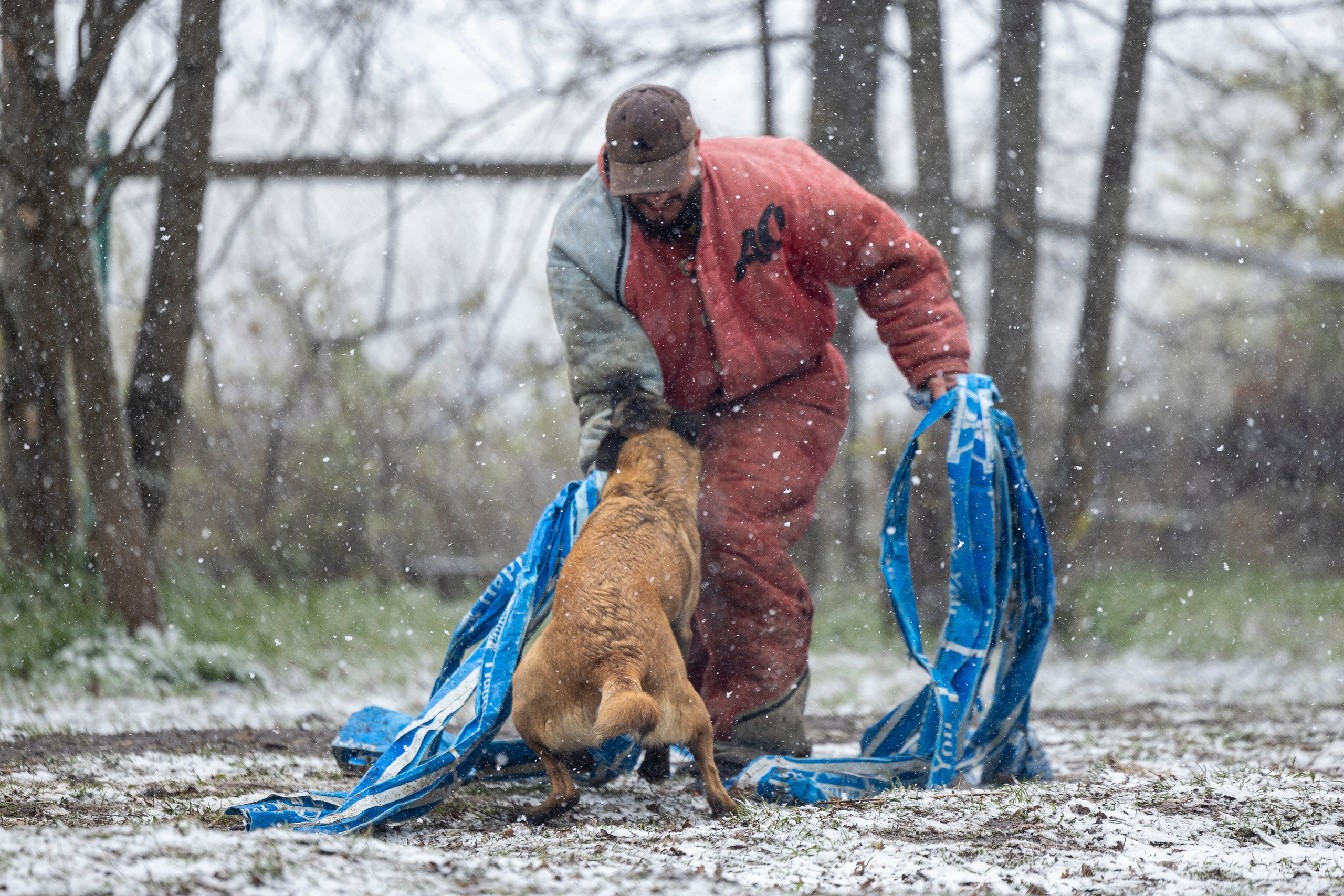 Квалификационные состязания по мондьорингу г. Вологда 11.05.24. Фотограф-анималист Анна Маринич