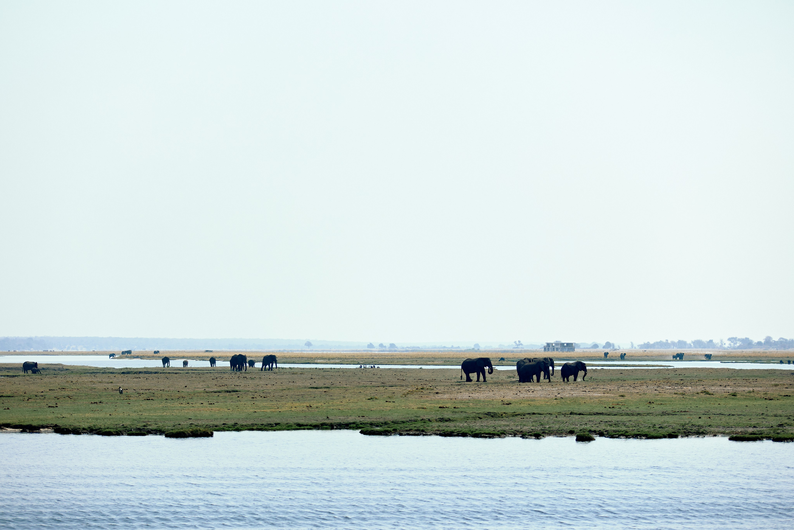 SOUTH AFRICA EMBA 38. Дмитрий Мазуркевич: Профессиональный Репортажный Фотограф