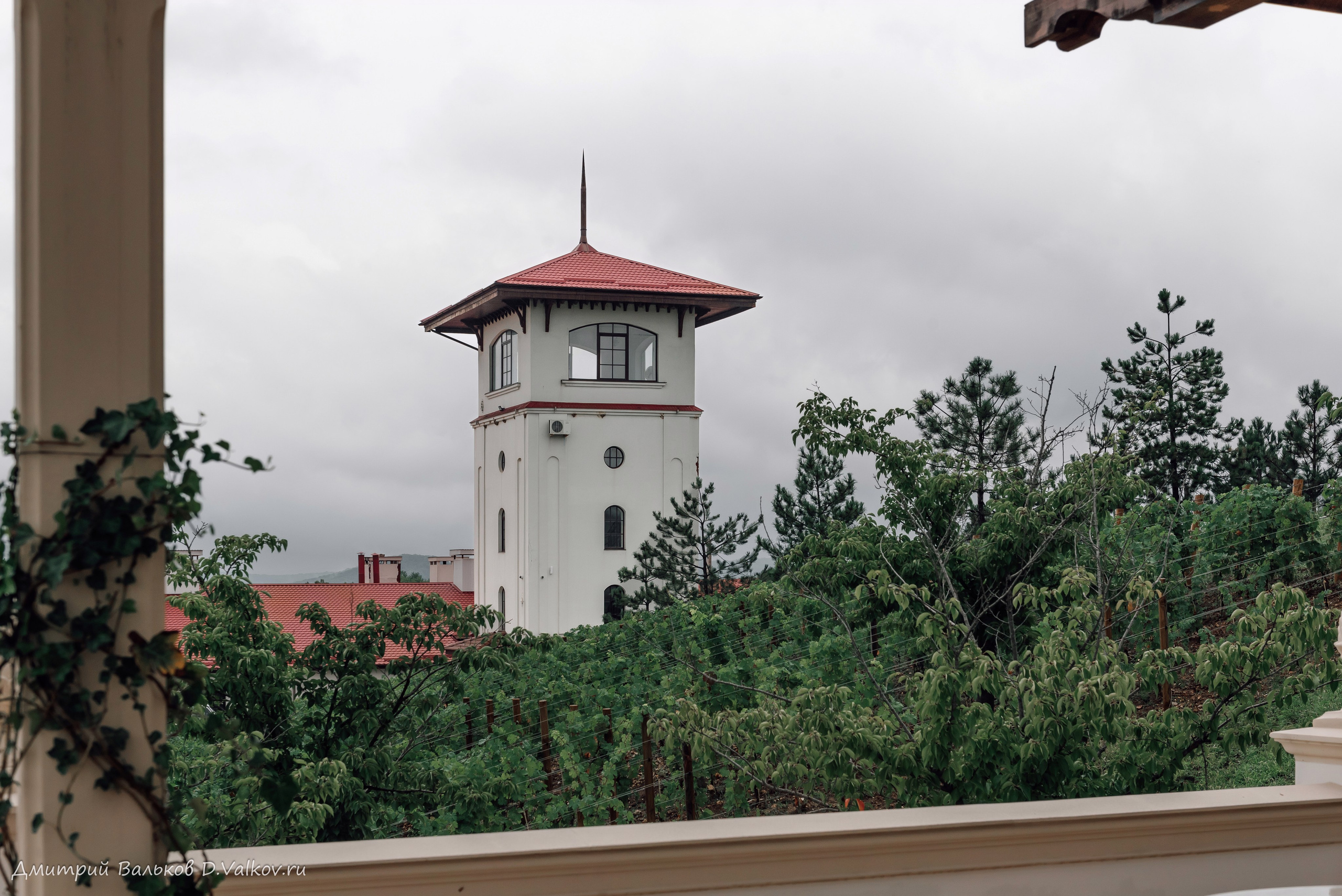 Прогулка, зал. Интерьерный и репортажный фотограф в Краснодаре Дмитрий Вальков