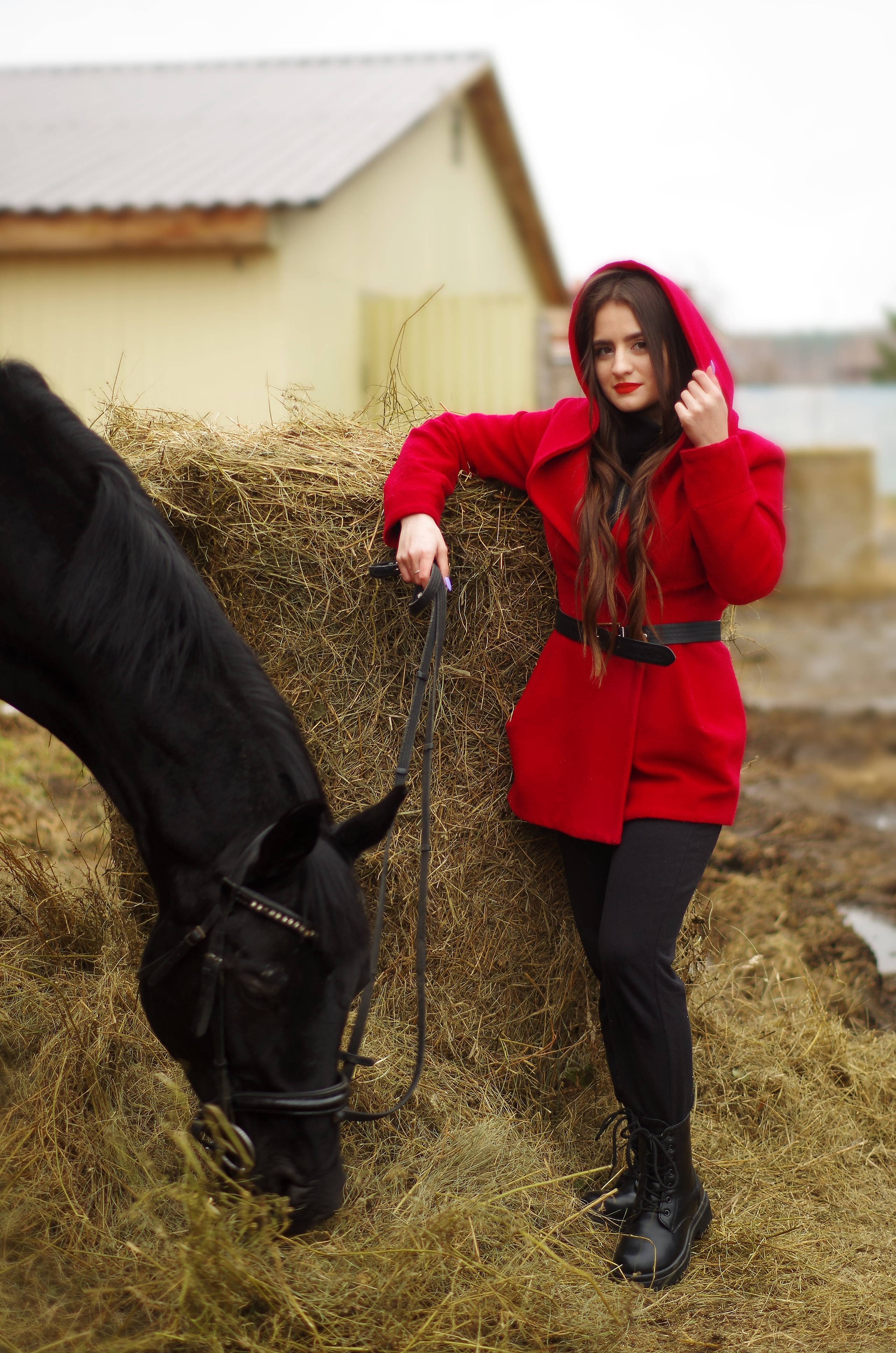 Съёмка с лошадьми: разное. Фотограф Марина Доглядная Челябинск фотосессии с лошадьми, мотоциклами