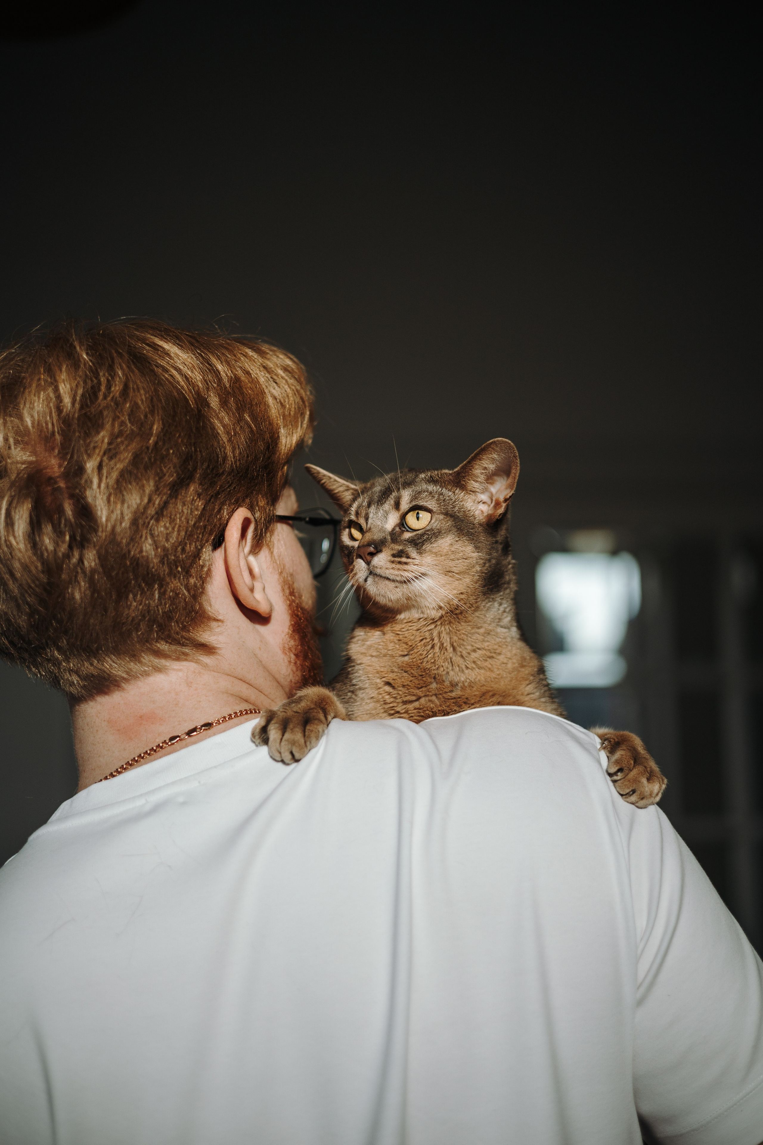 Циско и его семья. Фотограф — Анималист | Санкт-Петербург