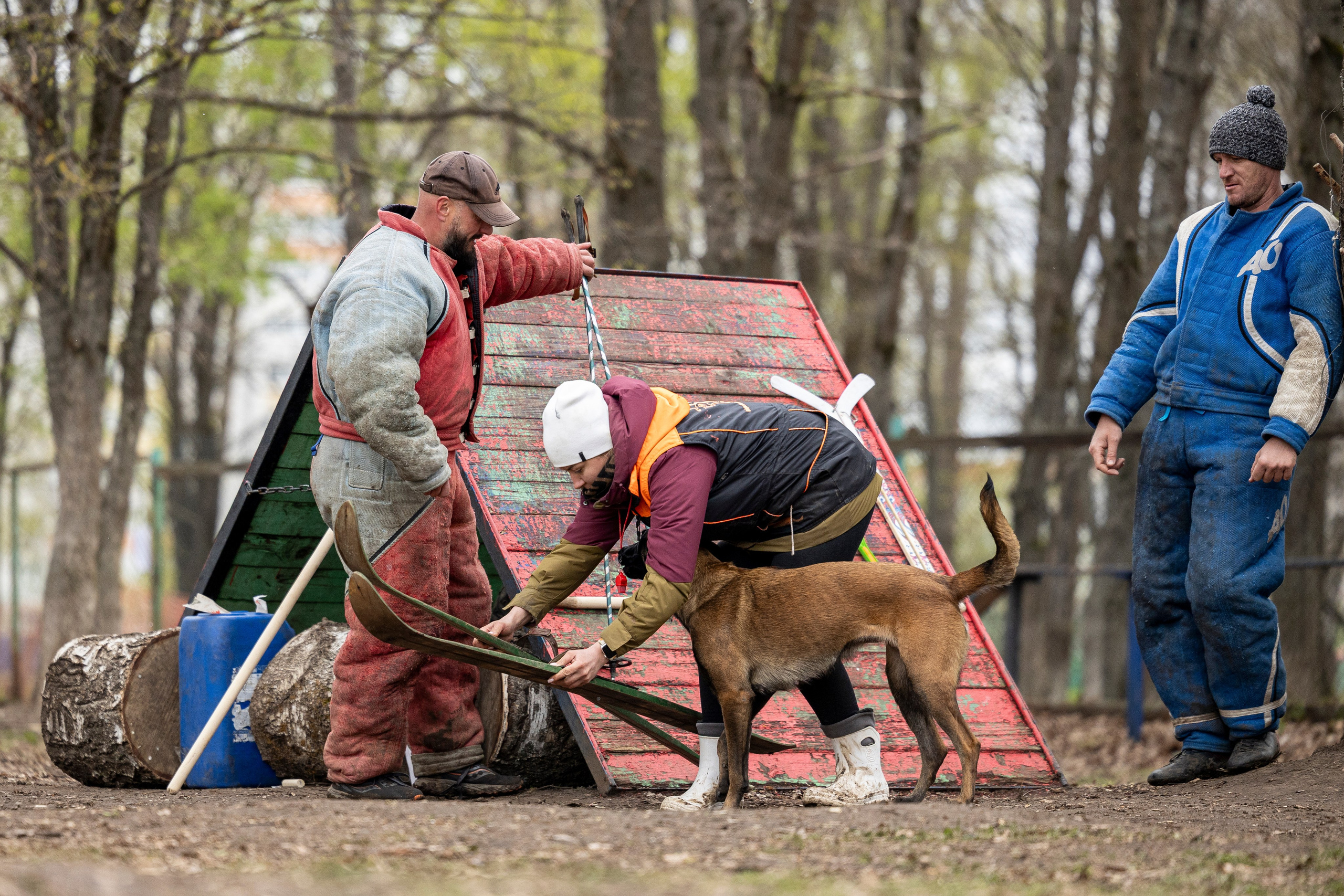 Квалификационные состязания по мондьорингу г. Вологда 11.05.24. Фотограф-анималист Анна Маринич