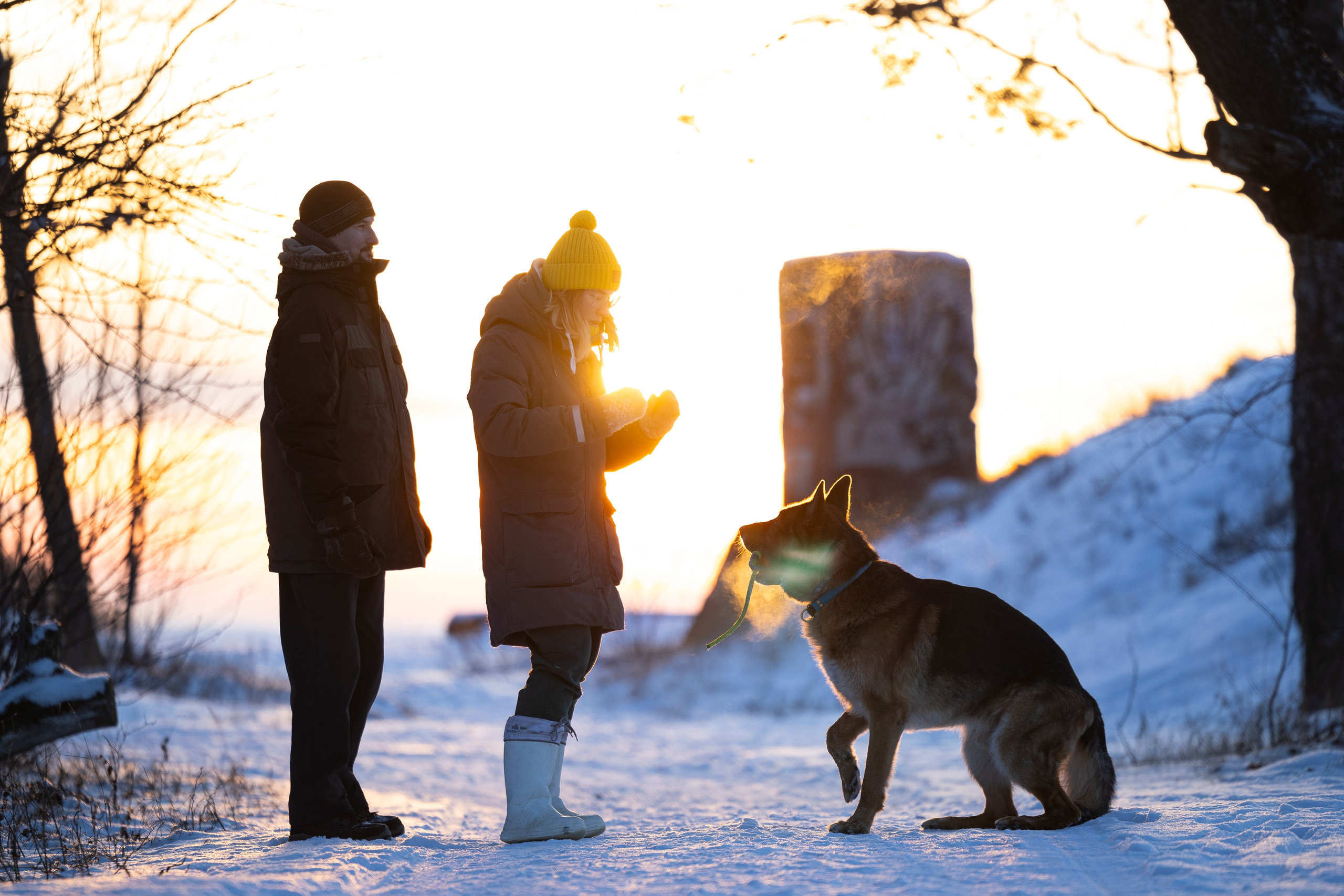 Рейн. Фотограф-анималист Анна Маринич