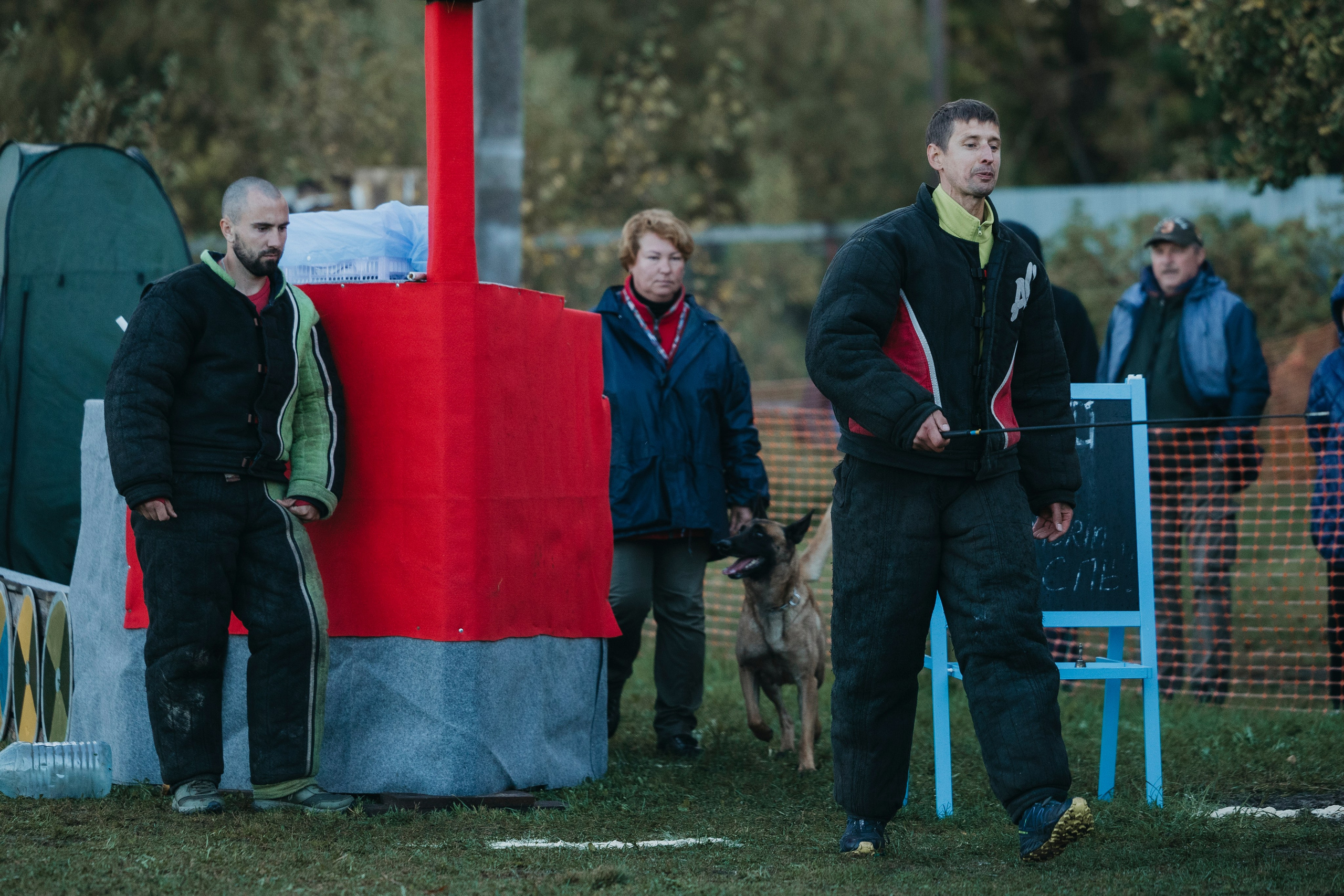 Испытания по мондьорингу г. Пушкин 29.09.2024. Фотограф-анималист Анна Маринич