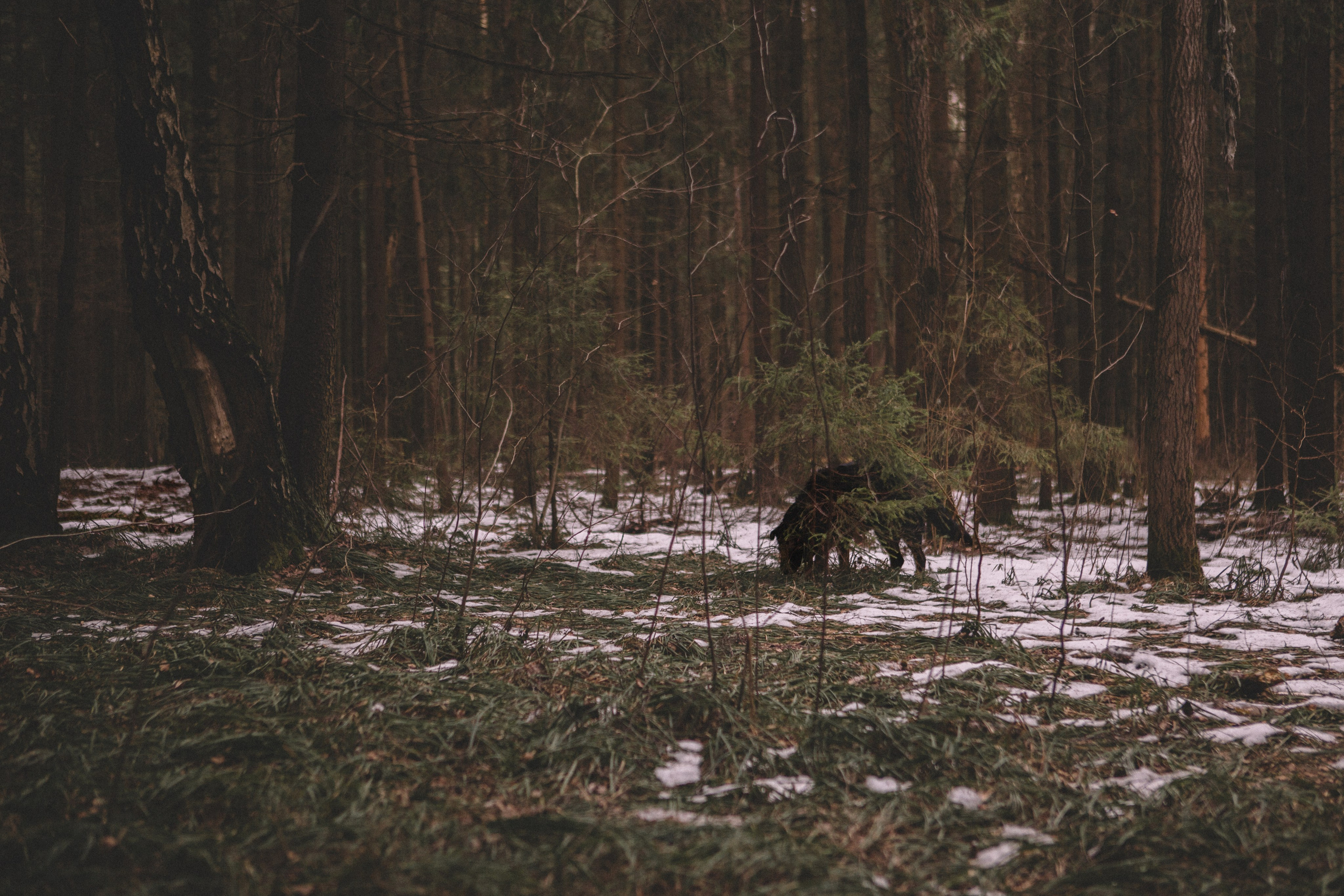 Alyona & Felix. Portrait, family and pet photographer in Cyprus, Ksenia Bourdelle