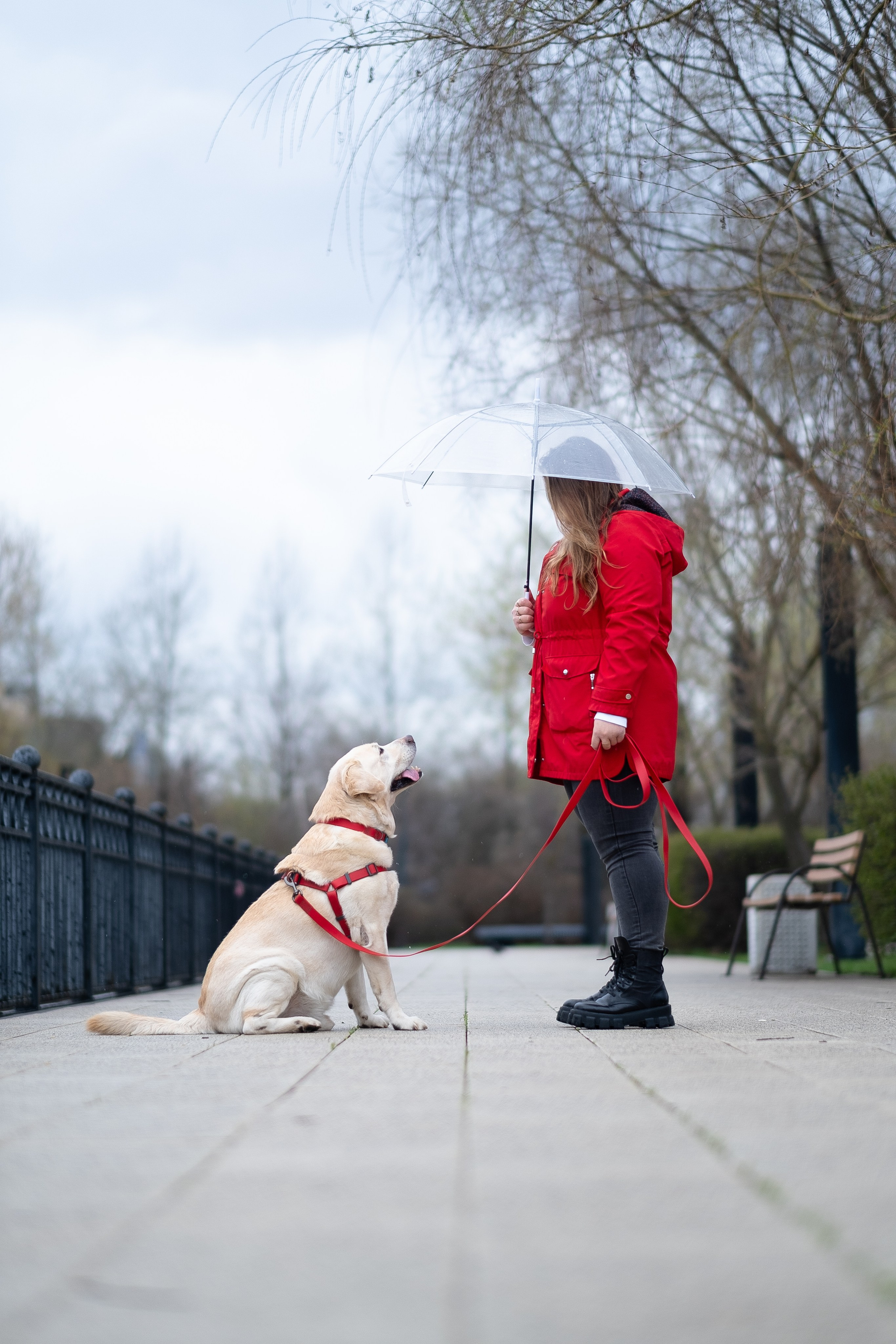 Света и Лето. Фотограф и видеограф анималист Аганина Дарья