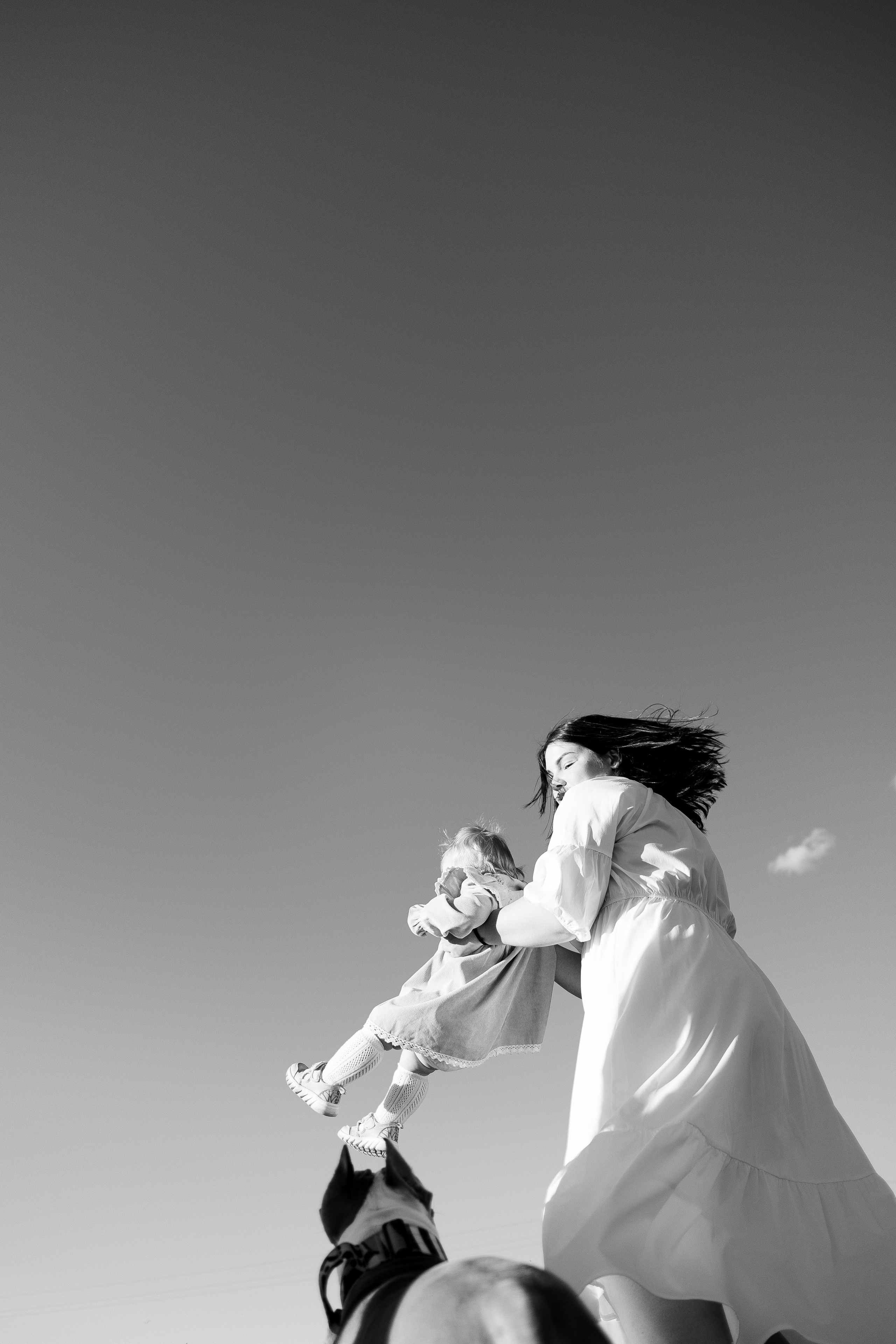 Шуня и ее семья. Фотограф и видеограф анималист Аганина Дарья