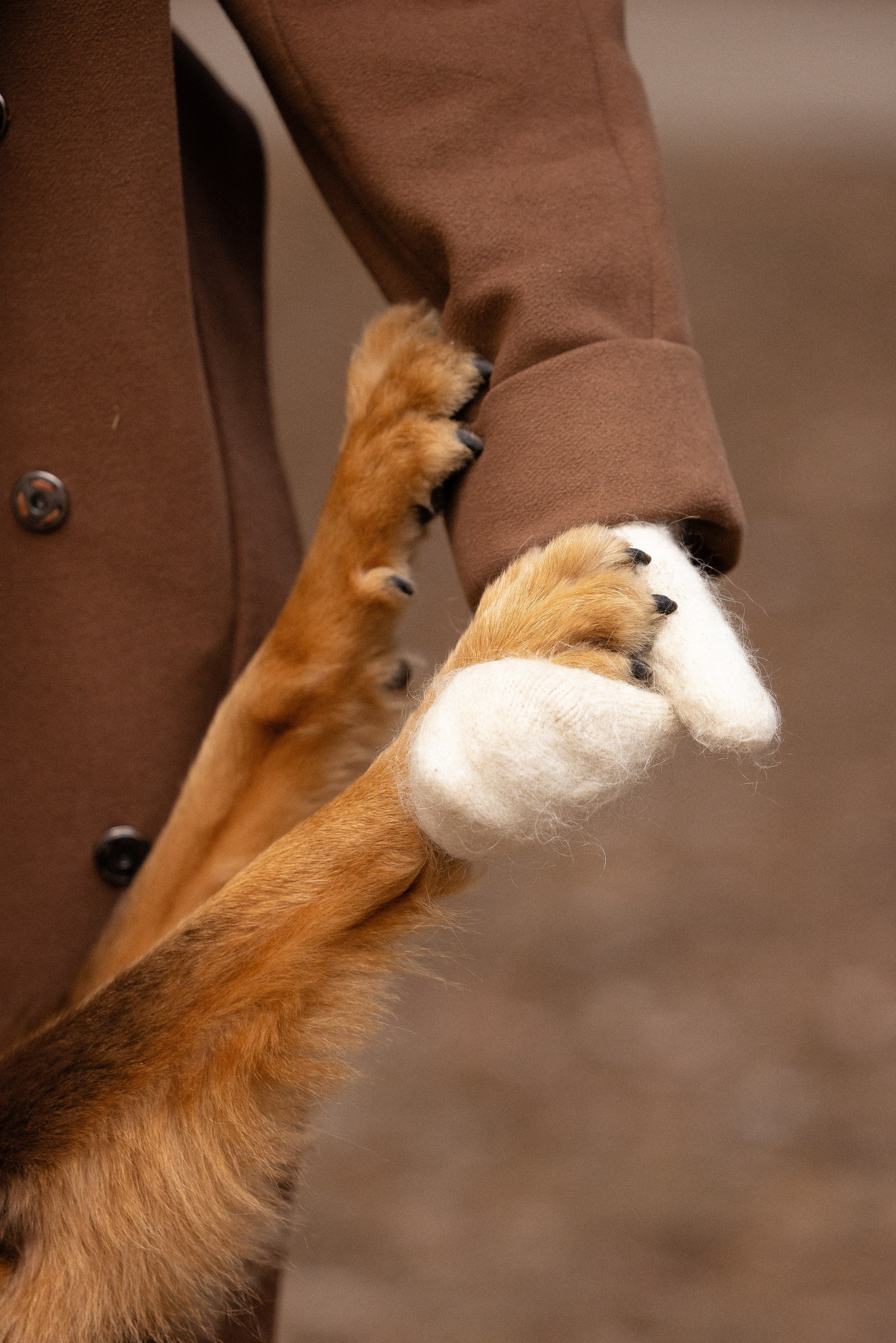 Катя и Мёд. Фотограф и видеограф анималист Аганина Дарья