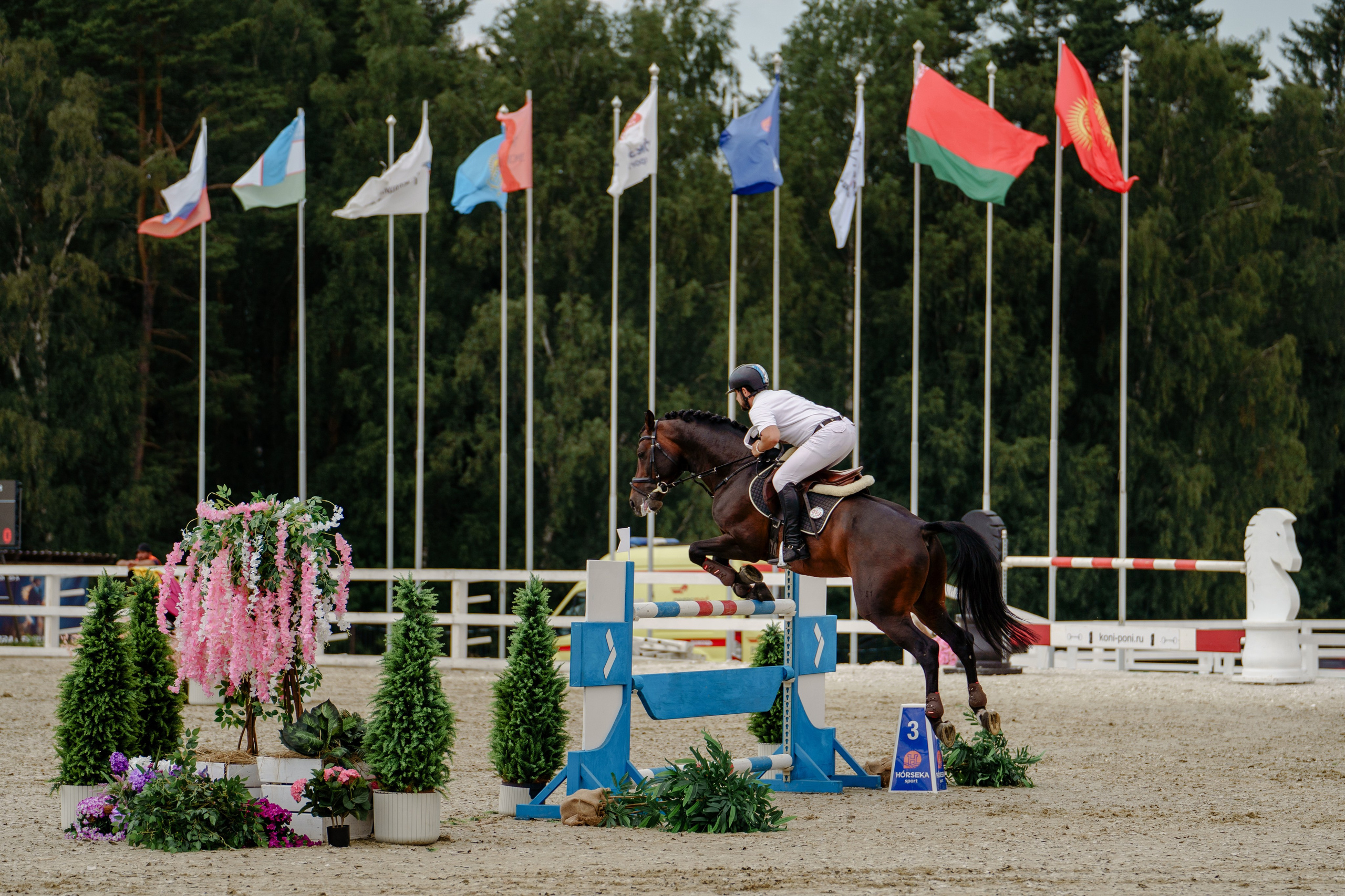 VIP DERBY. Репортажный фотограф Москва Сергей Дружинин
