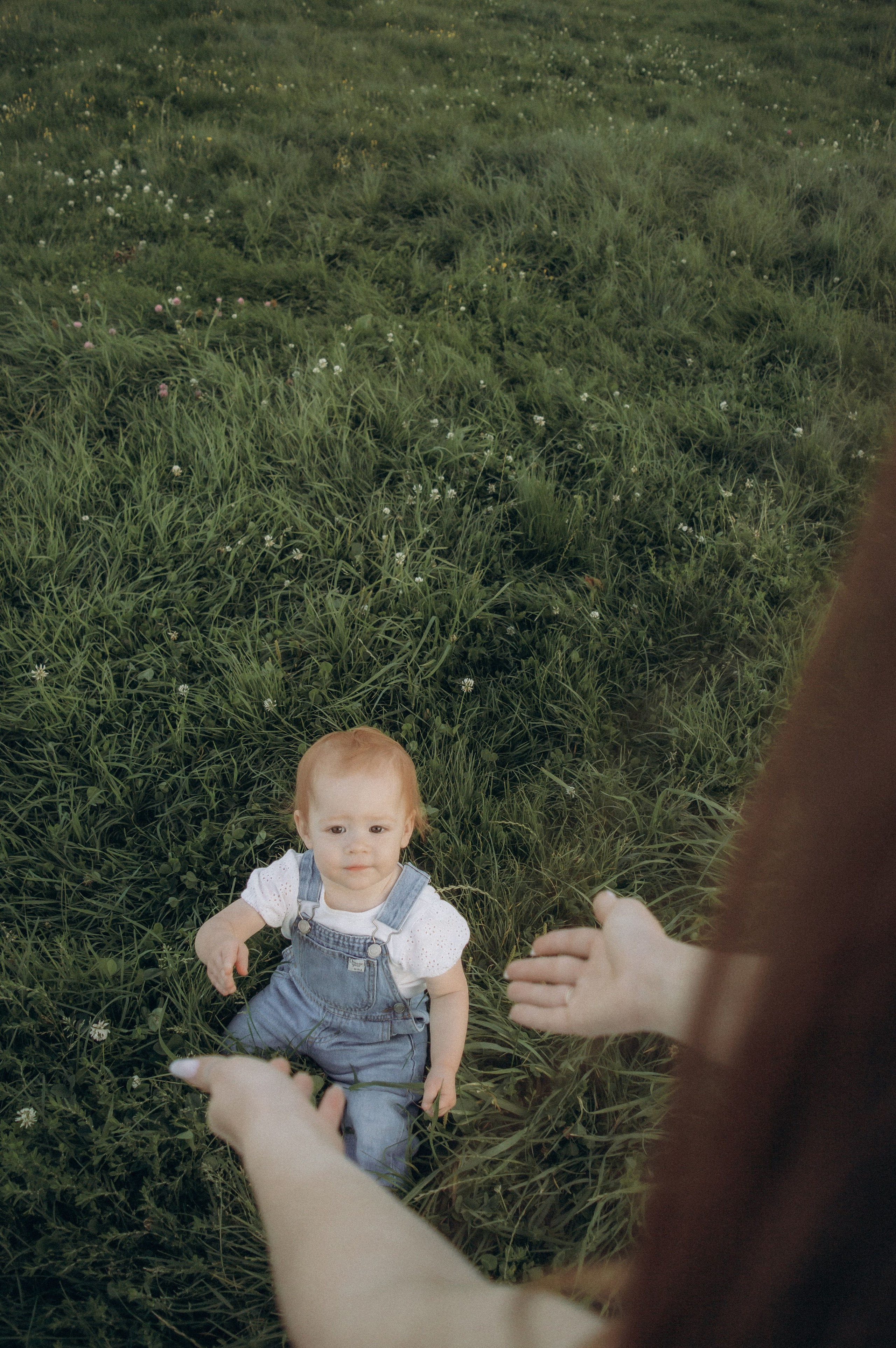 Аромат августа. Семейная летняя фотосессия в парке. Москва. Юлия Левада Семейный и женский фотограф