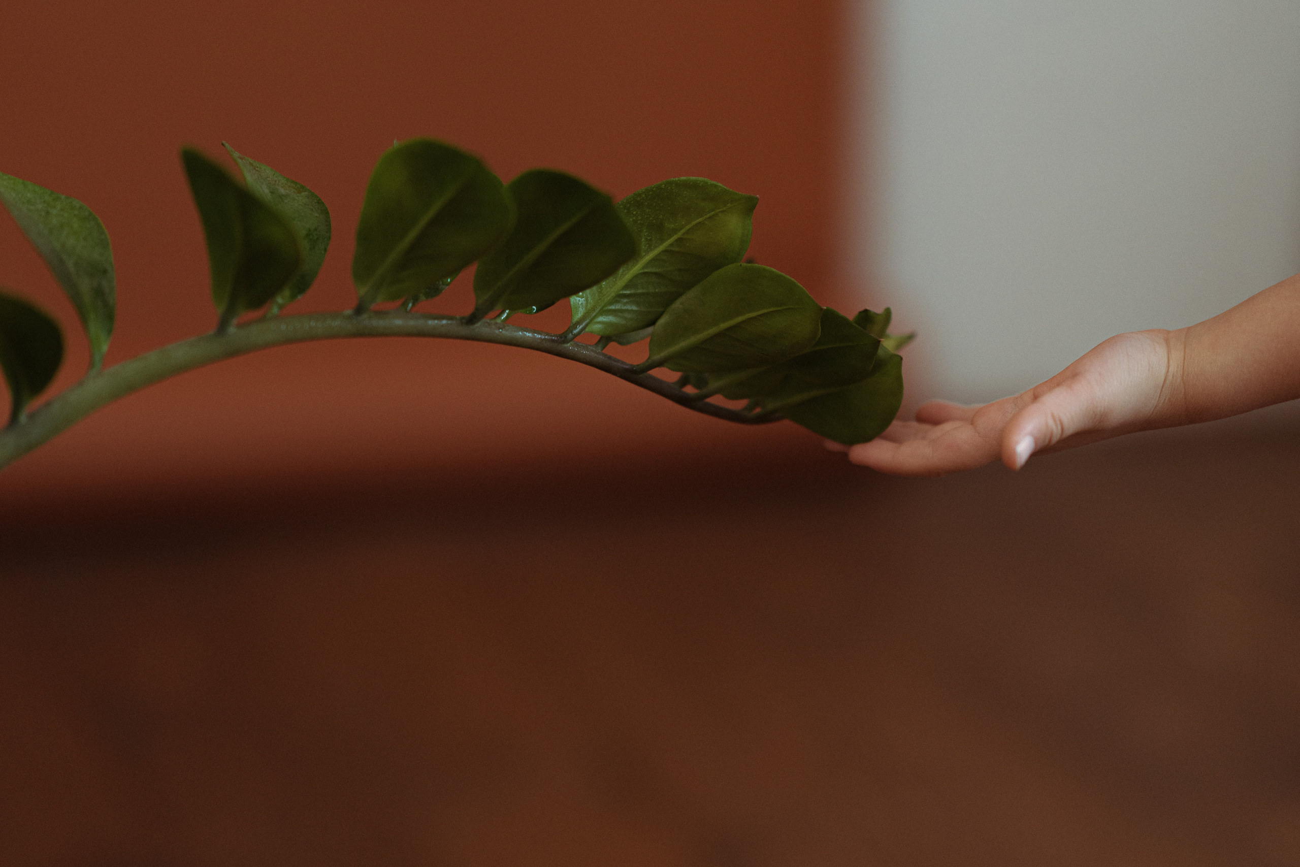 Мамы и дочки. Видеограф в Санкт-Петербурге Анастасия Коок