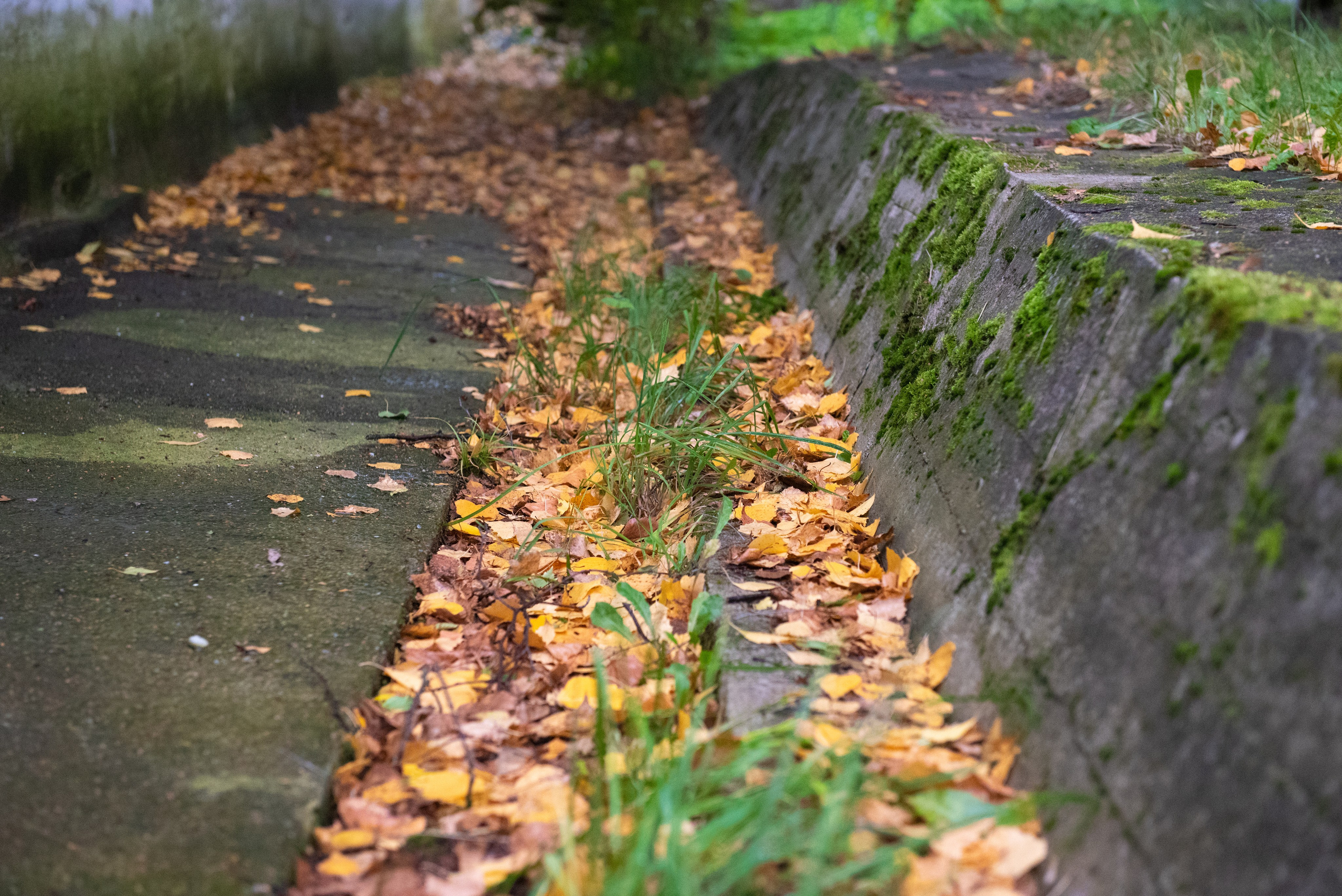 Великий Новгород. Портретный и архитектурный фотограф в Москве и Санкт-Петербурге