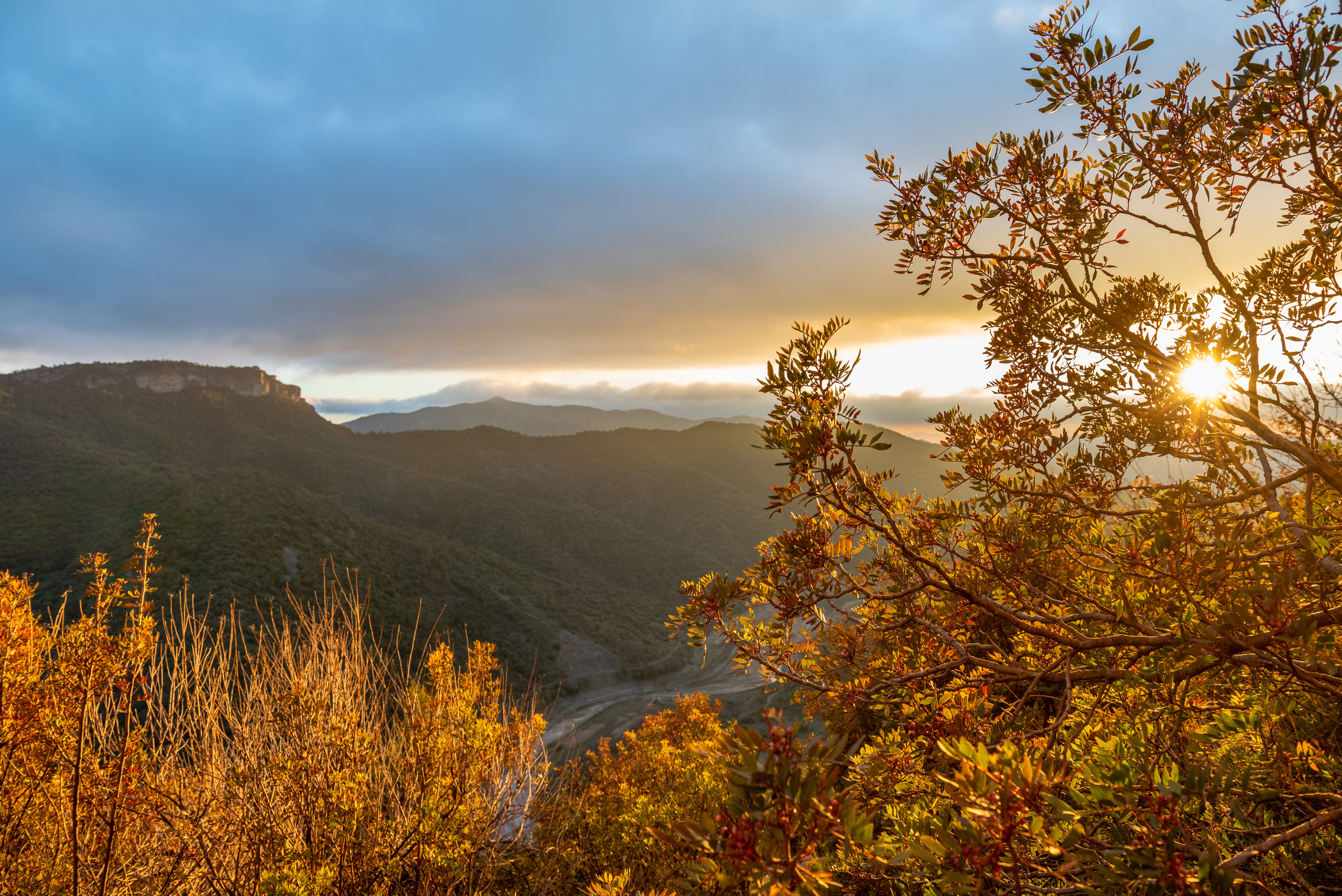 LANDSCAPE. Юлия Леонова фотограф, Москва. Искусство, fine art, interior print