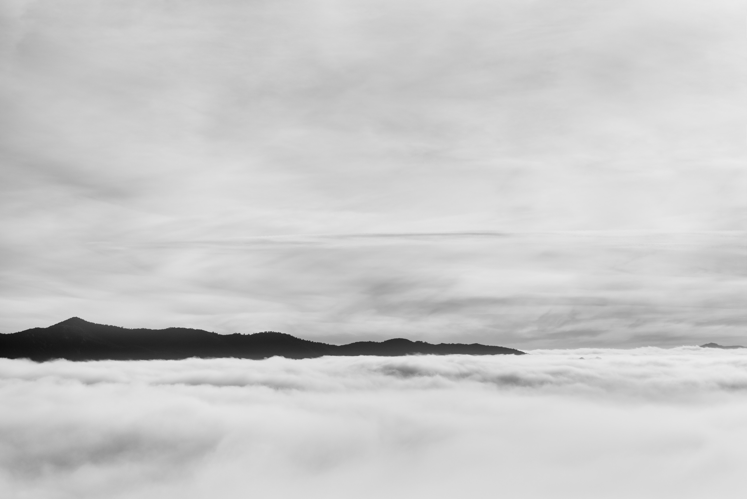 LANDSCAPE. Юлия Леонова фотограф, Москва. Искусство, fine art, interior print