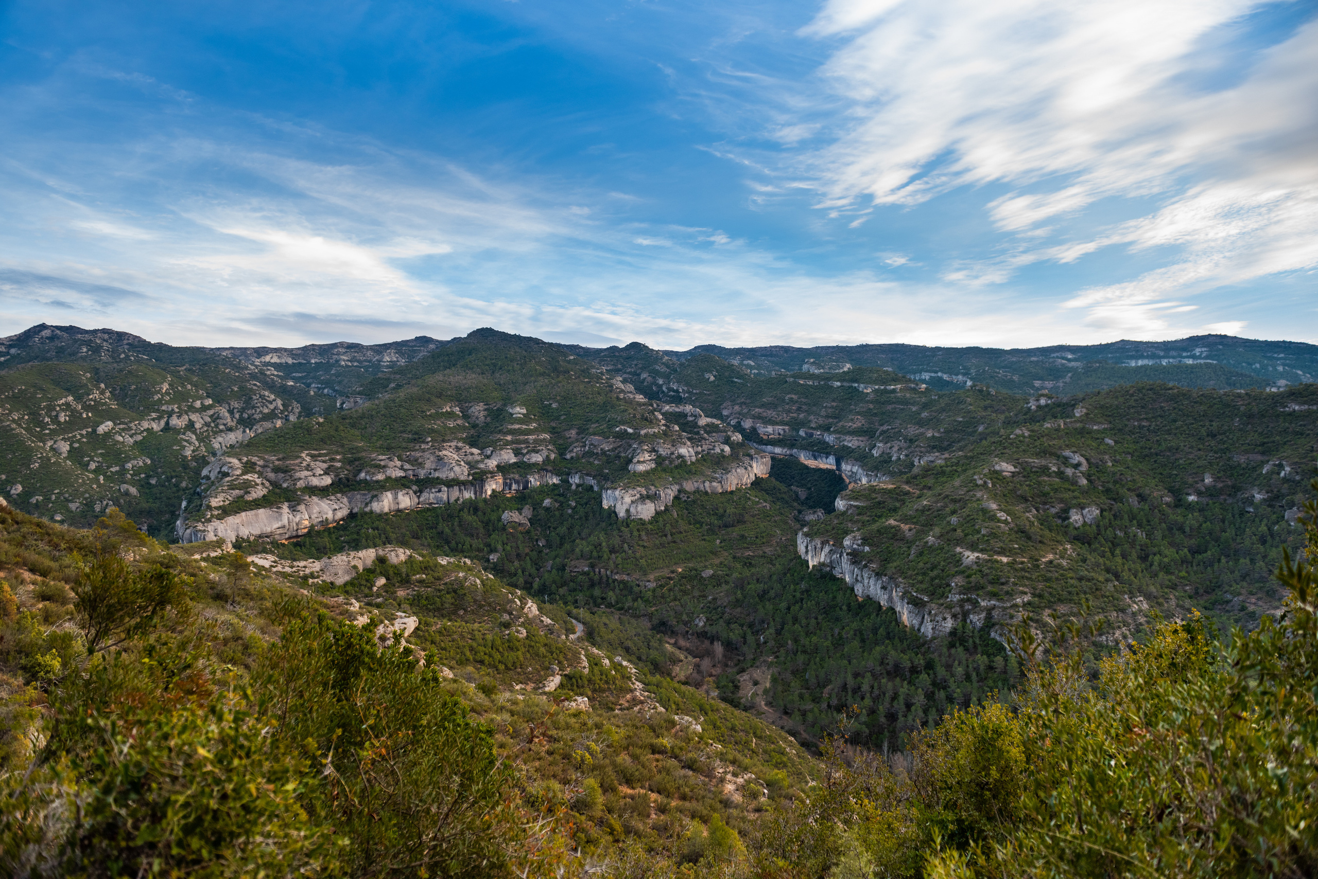 LANDSCAPE. Юлия Леонова фотограф, Москва. Искусство, fine art, interior print