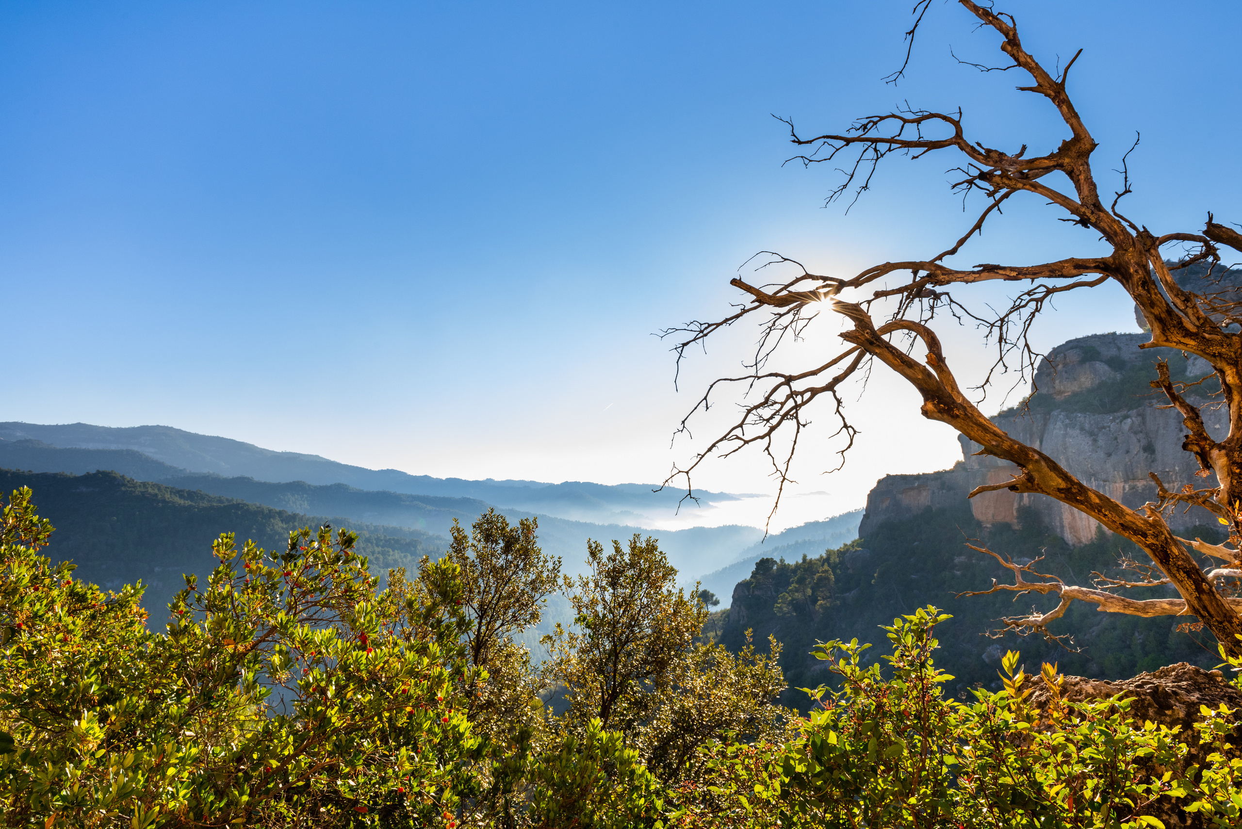 LANDSCAPE. Юлия Леонова фотограф, Москва. Искусство, fine art, interior print