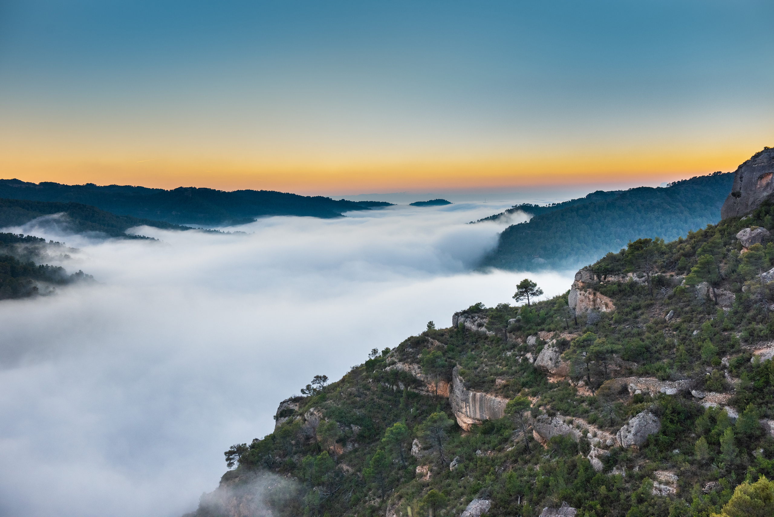 LANDSCAPE. Юлия Леонова фотограф, Москва. Искусство, fine art, interior print
