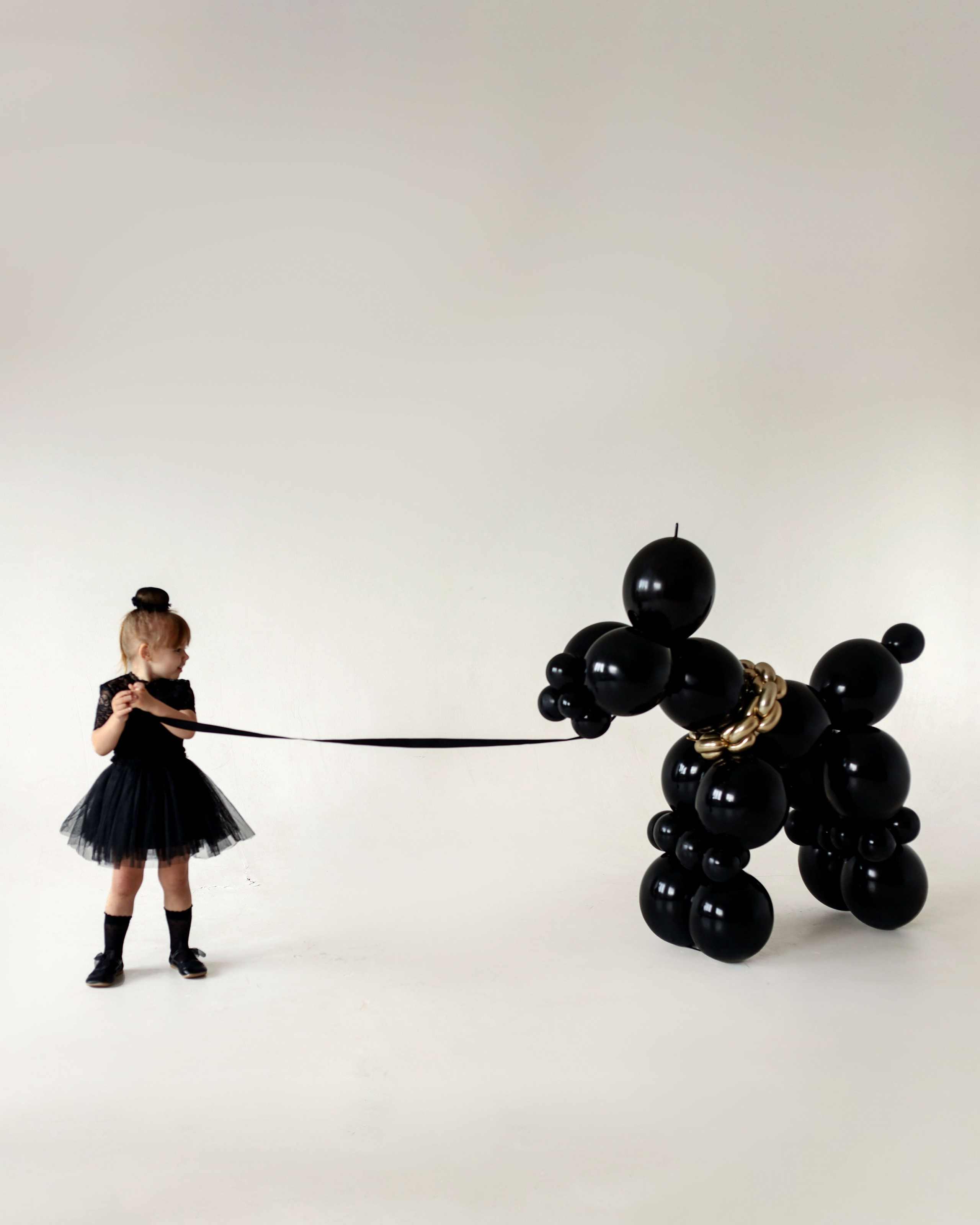 Пёс Шарик. Фотограф новорожденных Саратов