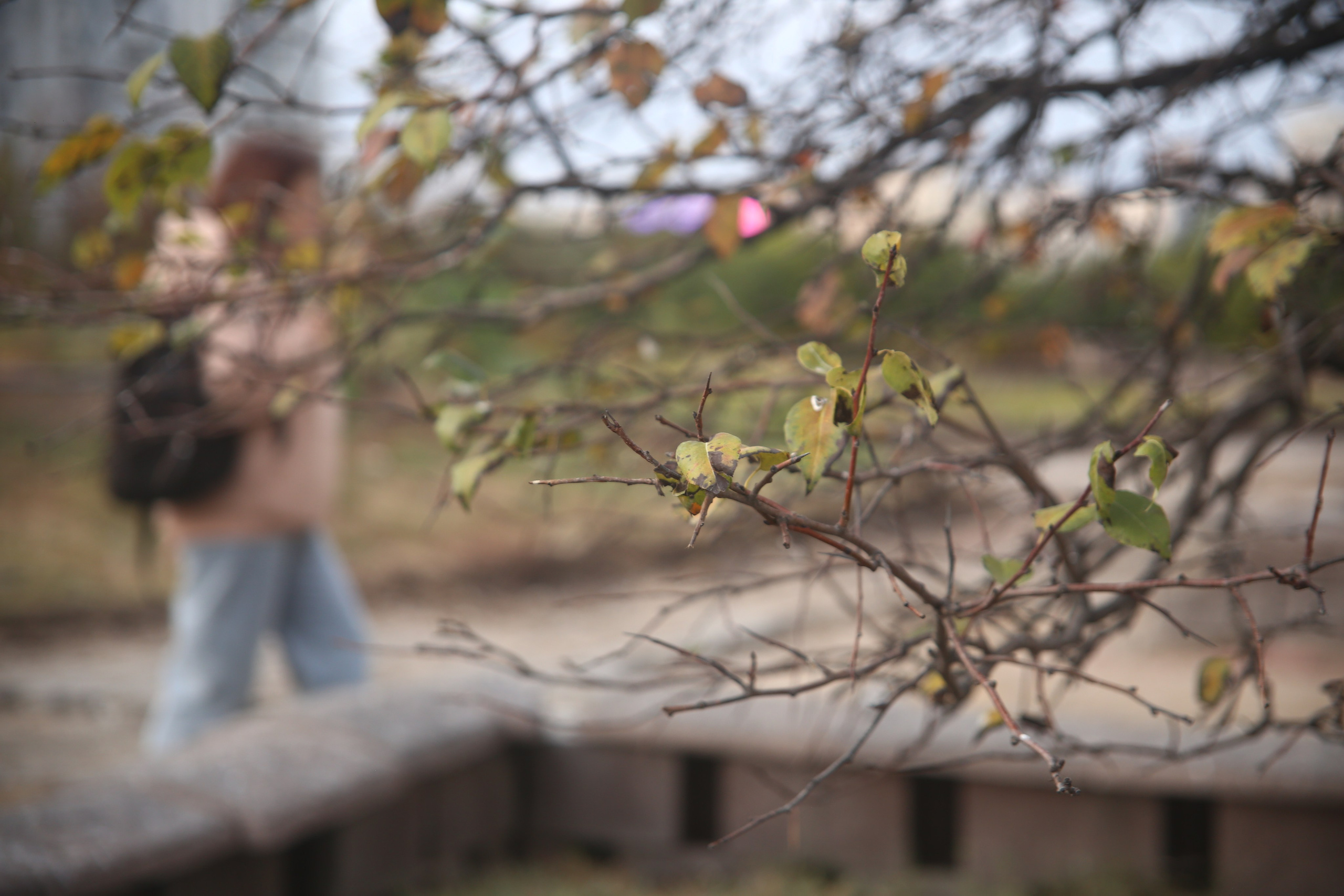 Всё, что я вижу вокруг себя