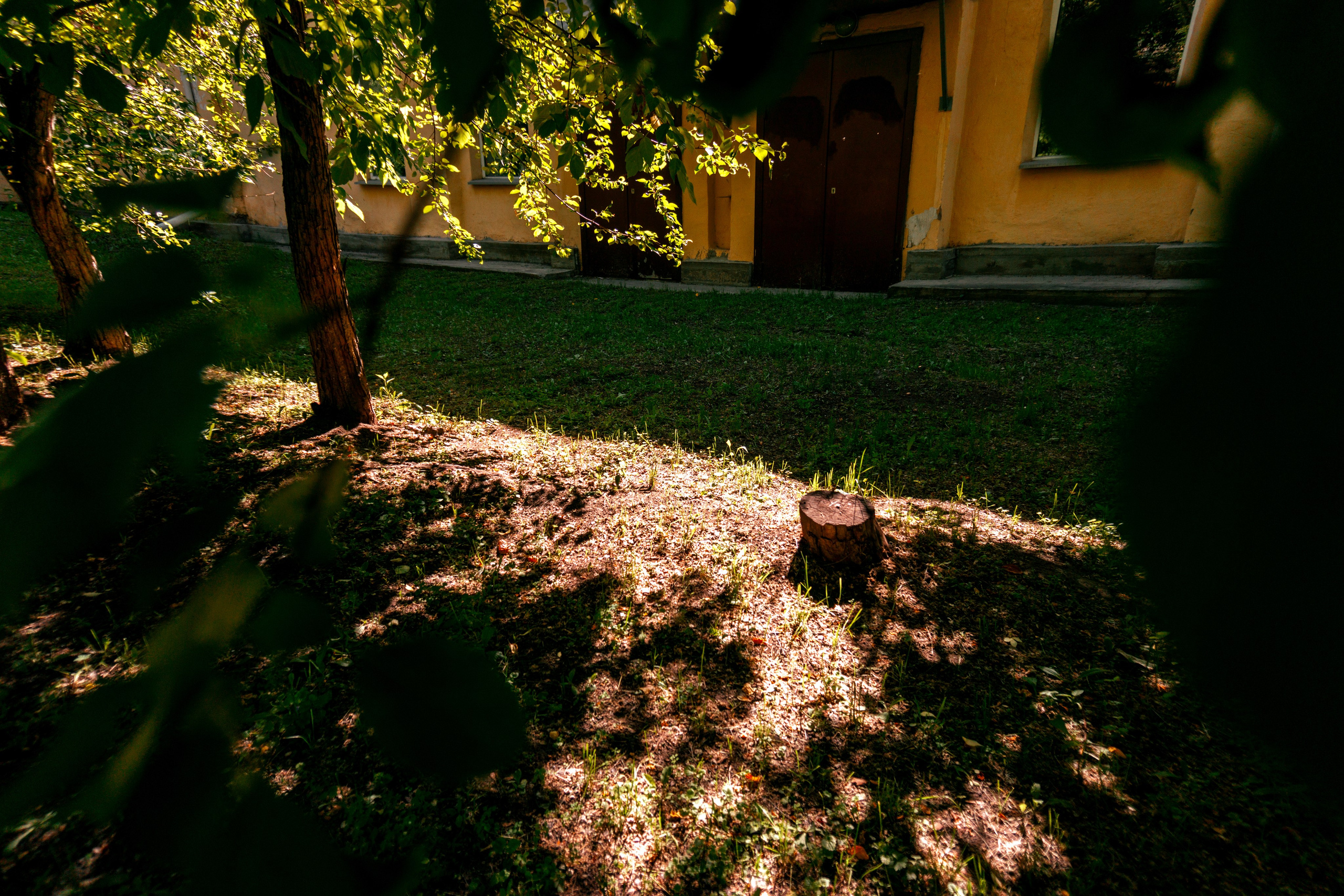 05.06.2025 | Красноярск. Kuznetsov | Фотограф в Красноярске