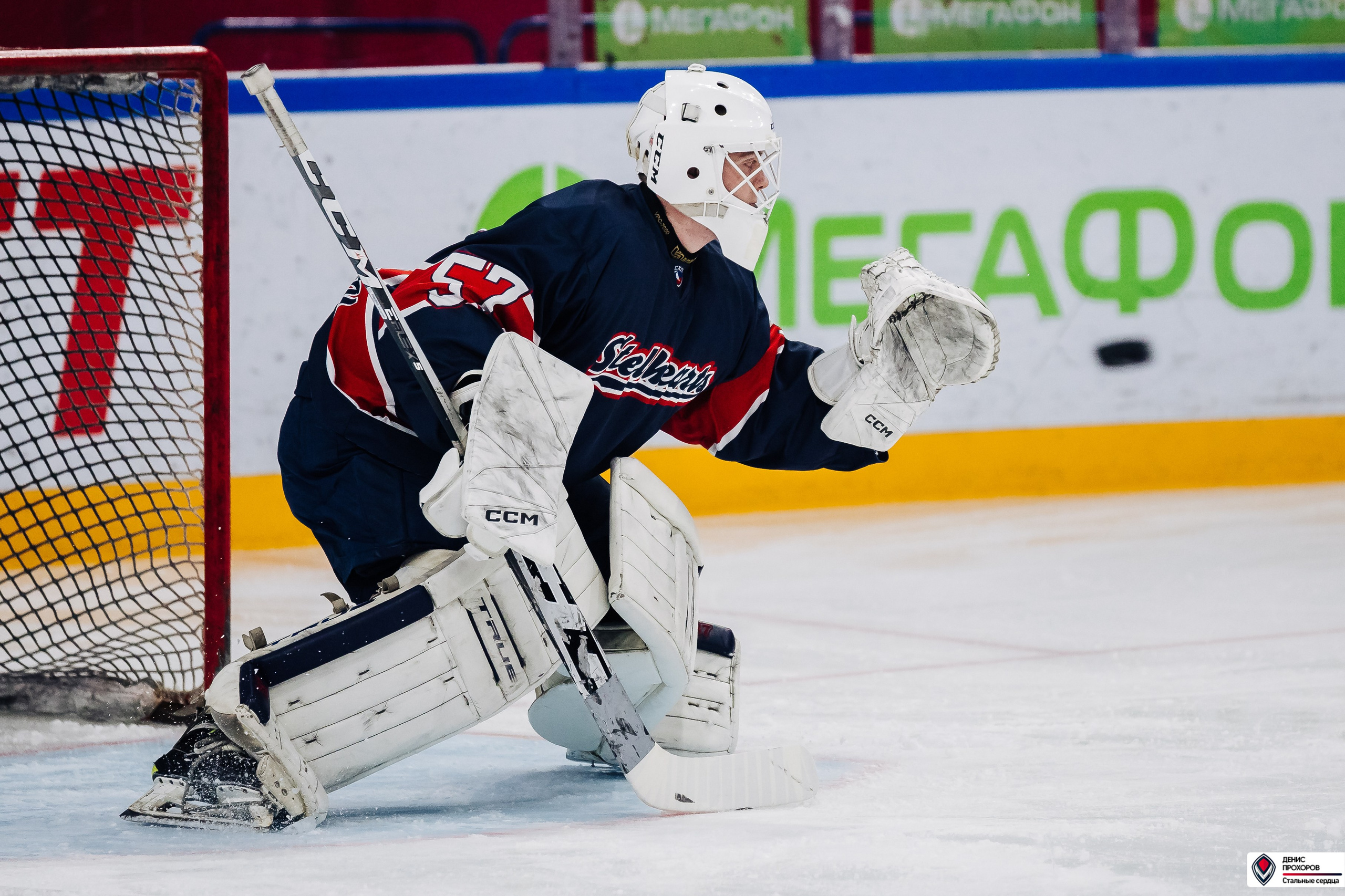 «Стальные сердца» — «СФУ» // 07-08.02.25. Денис Прохоров Фотограф в г. Магнитогорск