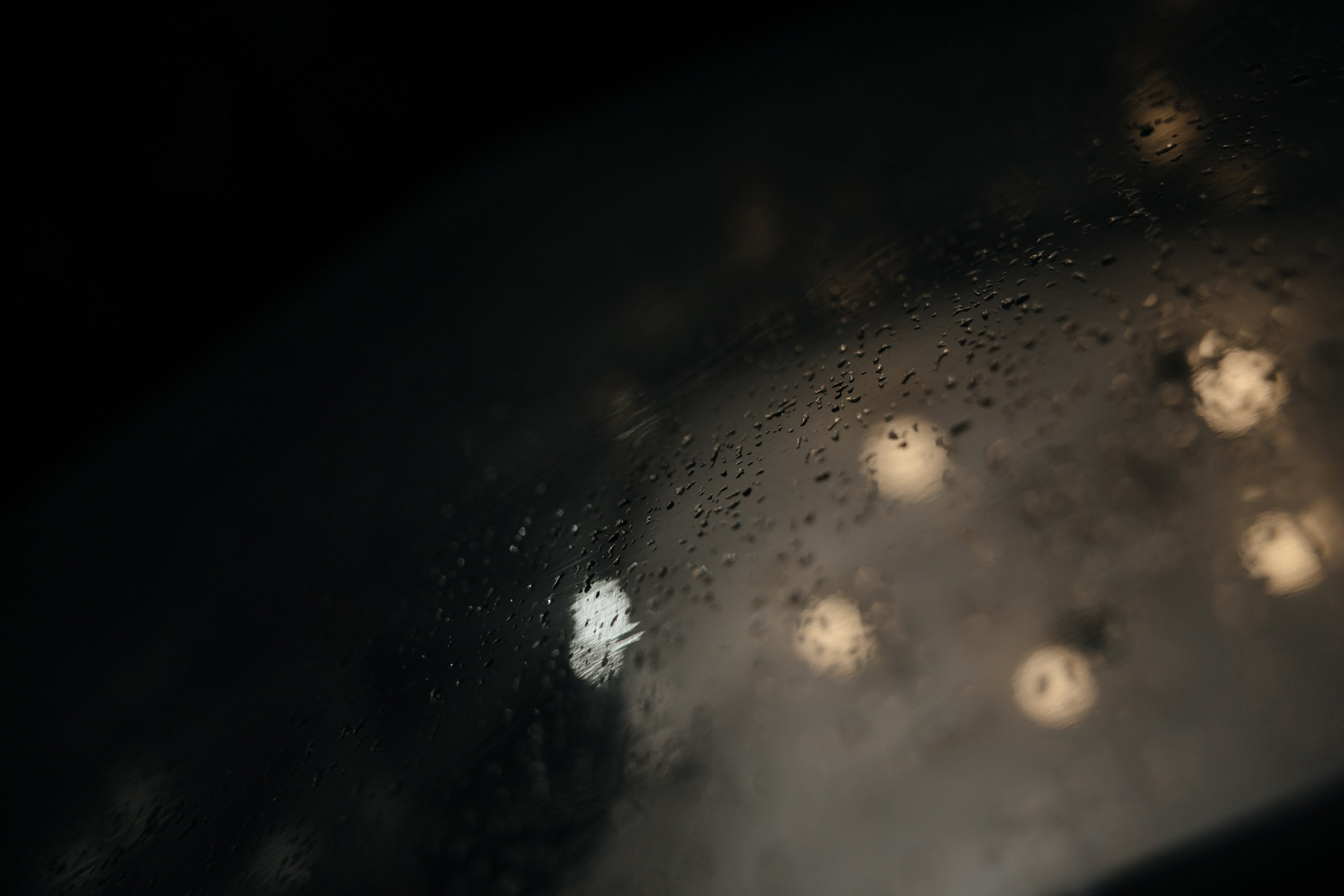 Tasigo. Свадебный фотограф в Ульяновске Алексей Китов