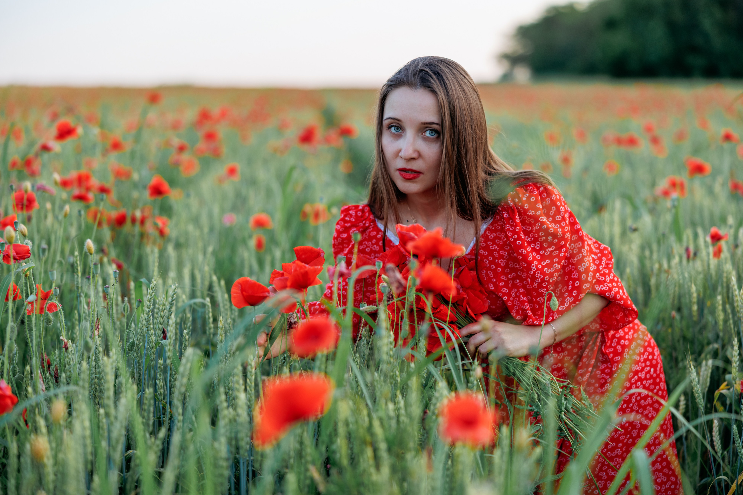 Маки. Свадебный и семейный фотограф в Армавире