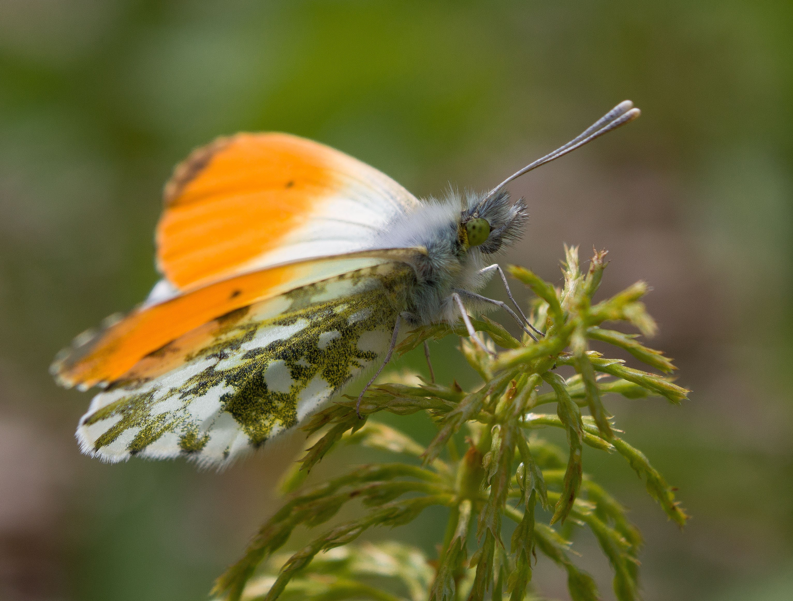 Макро. Обо всём