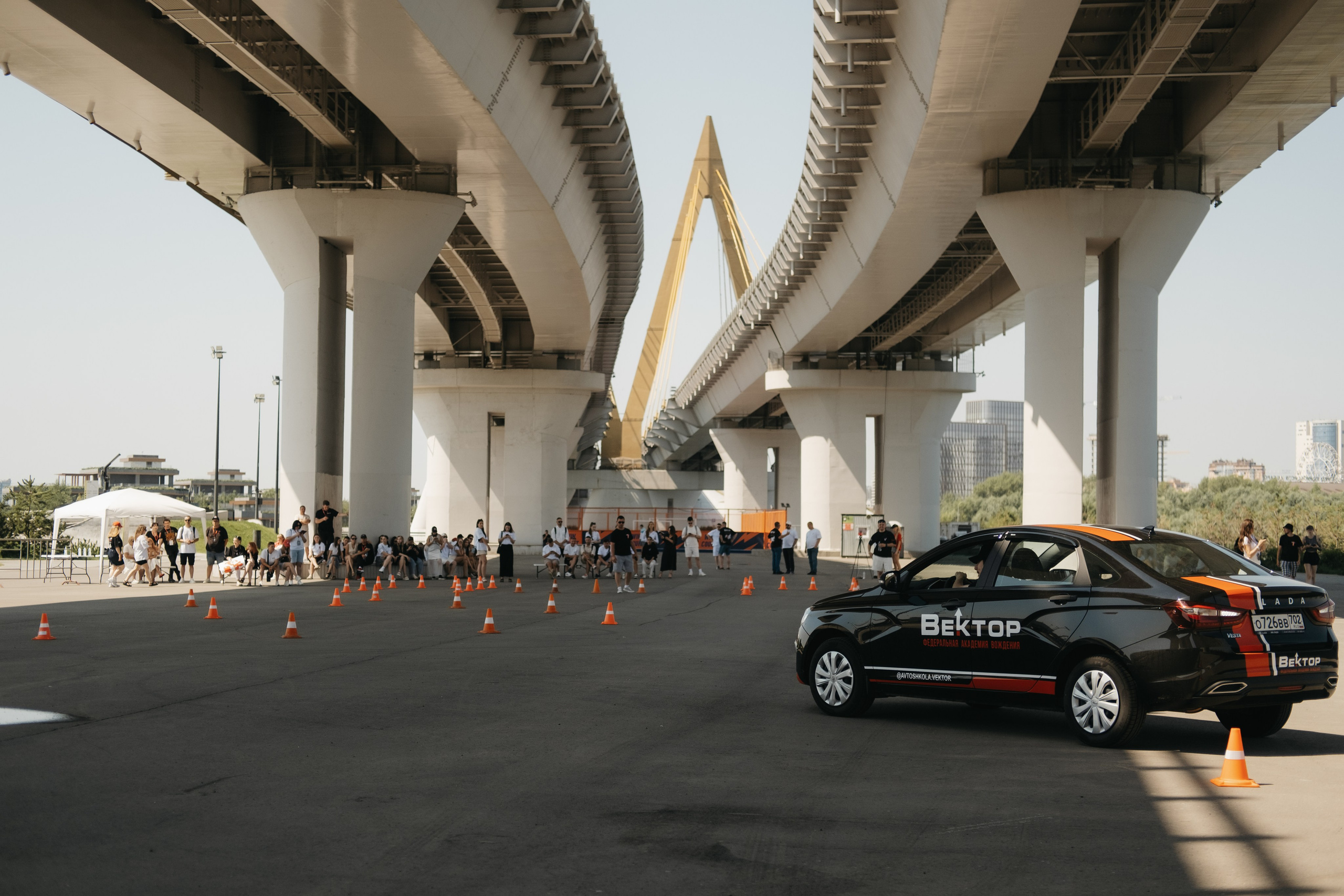 VECTOR FEST. Обо мне