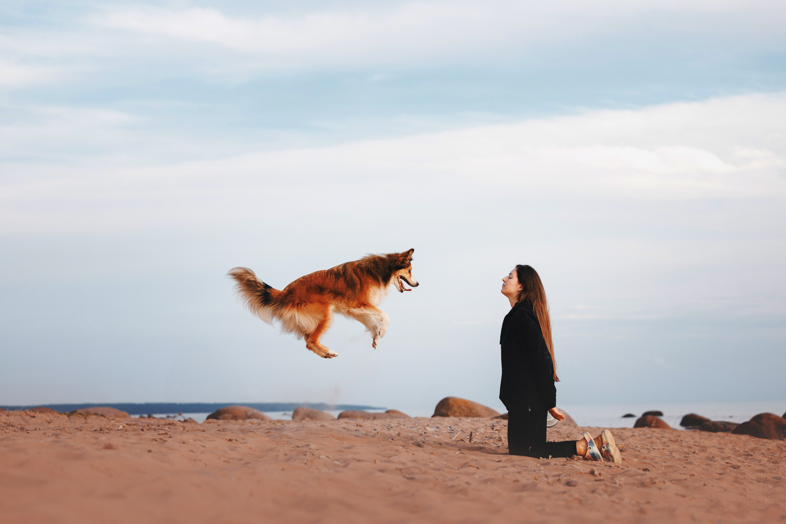 Рита, Маша и много собак. Фотограф анималист Осипчикова Мария