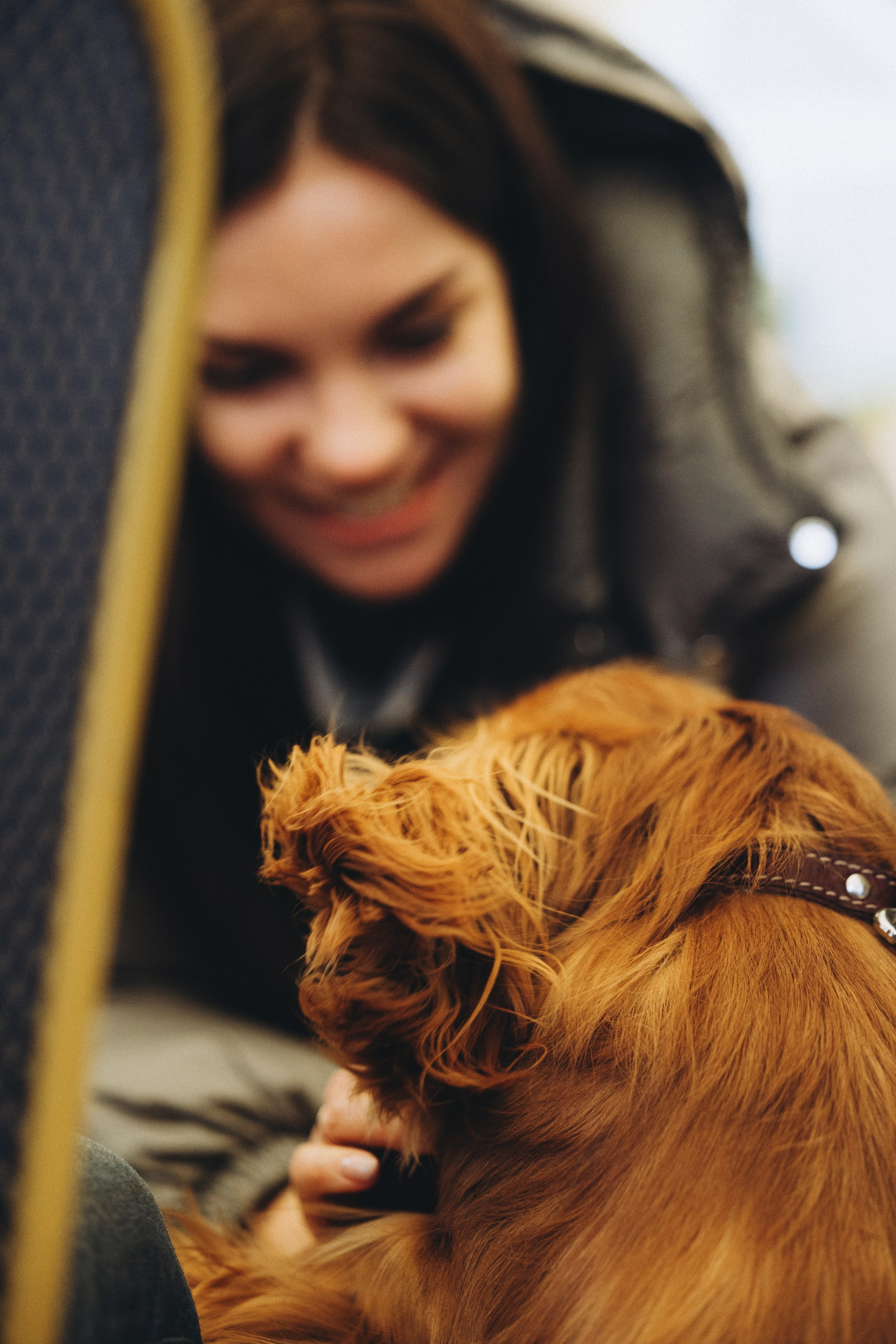 Встреча ККЧС. Фотограф анималист Осипчикова Мария