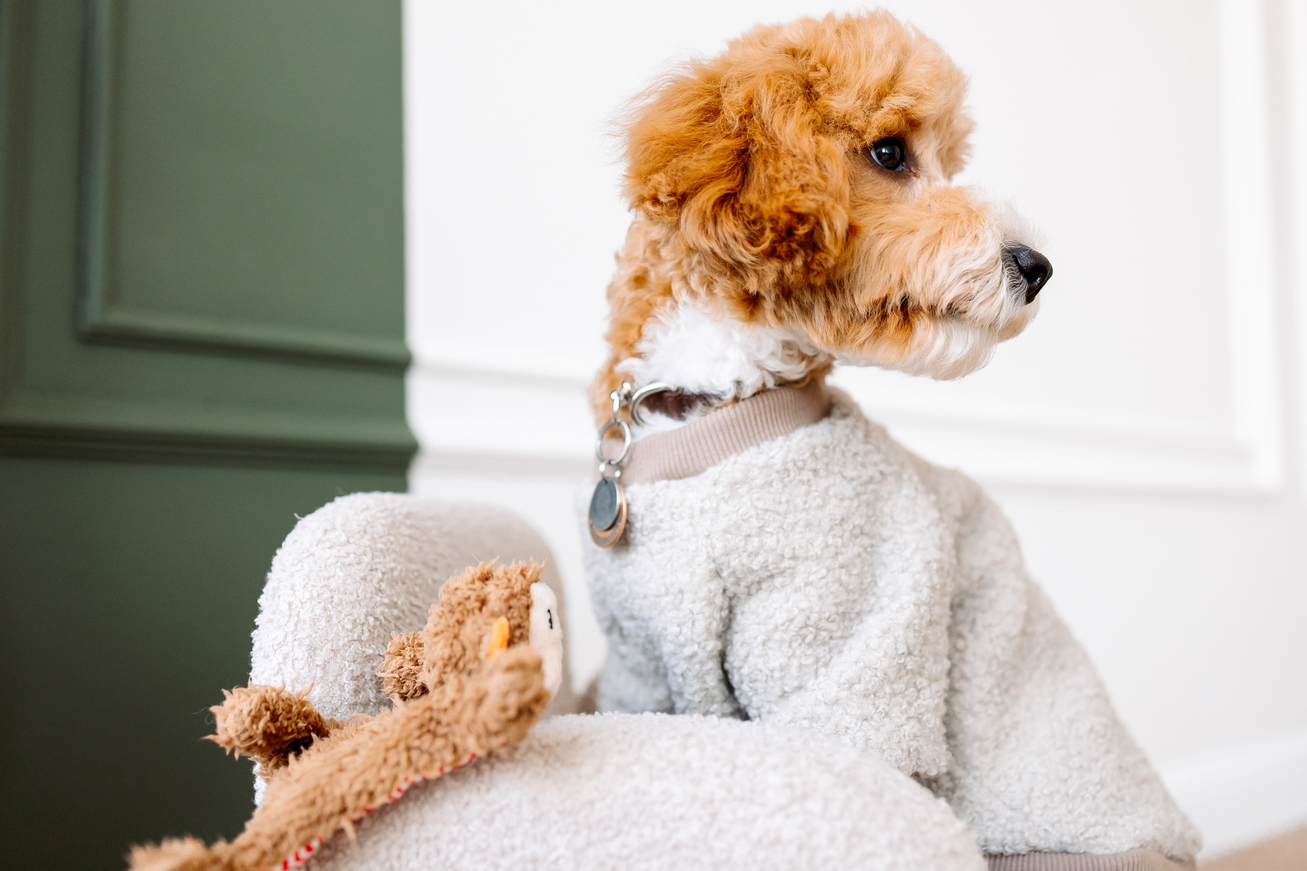 Щенок с игрушкой