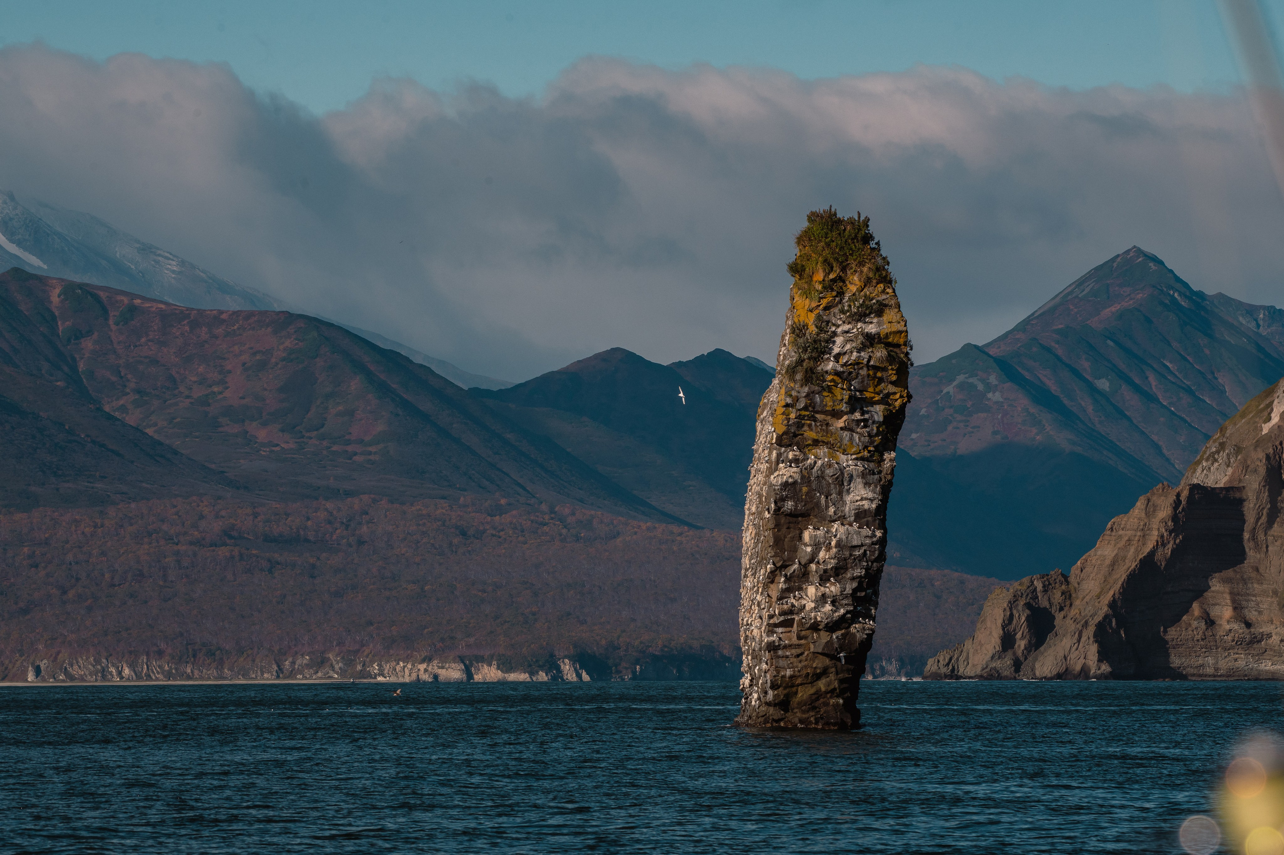 Природа. Людмила Москвичёва — Фотограф на все случаи жизни.Камчатка/Владивосток
