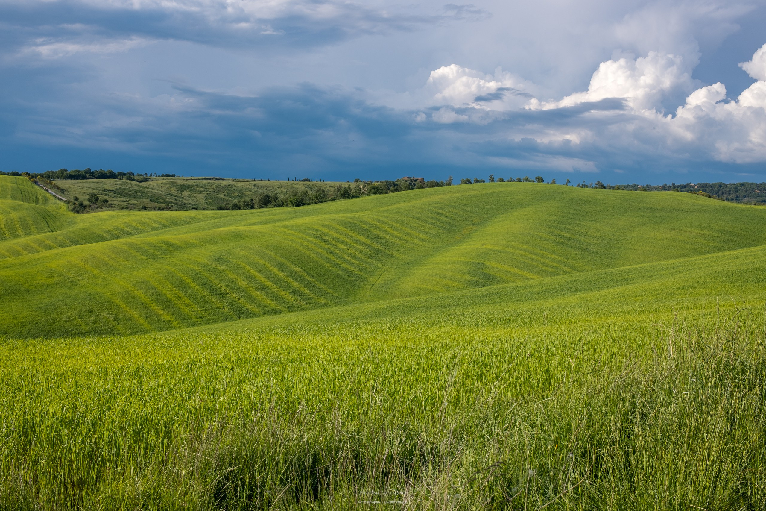 Долина Валь д’Орча-сердце Тосканы. Авторские стильные фотокартины