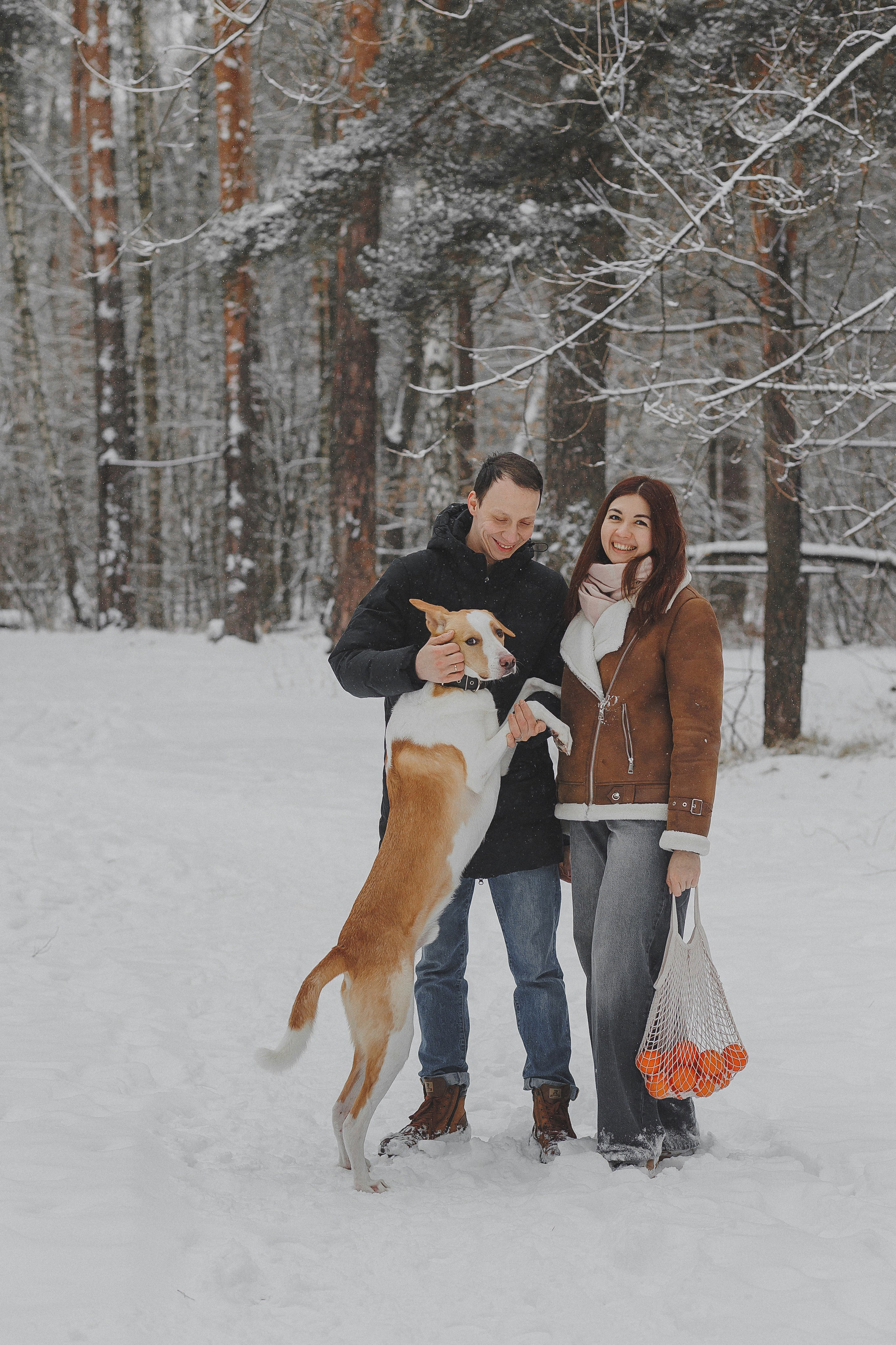 Зимняя фотосессия в лесу с собакой. Фотограф в Москве и Люберцах Анна Ушакова