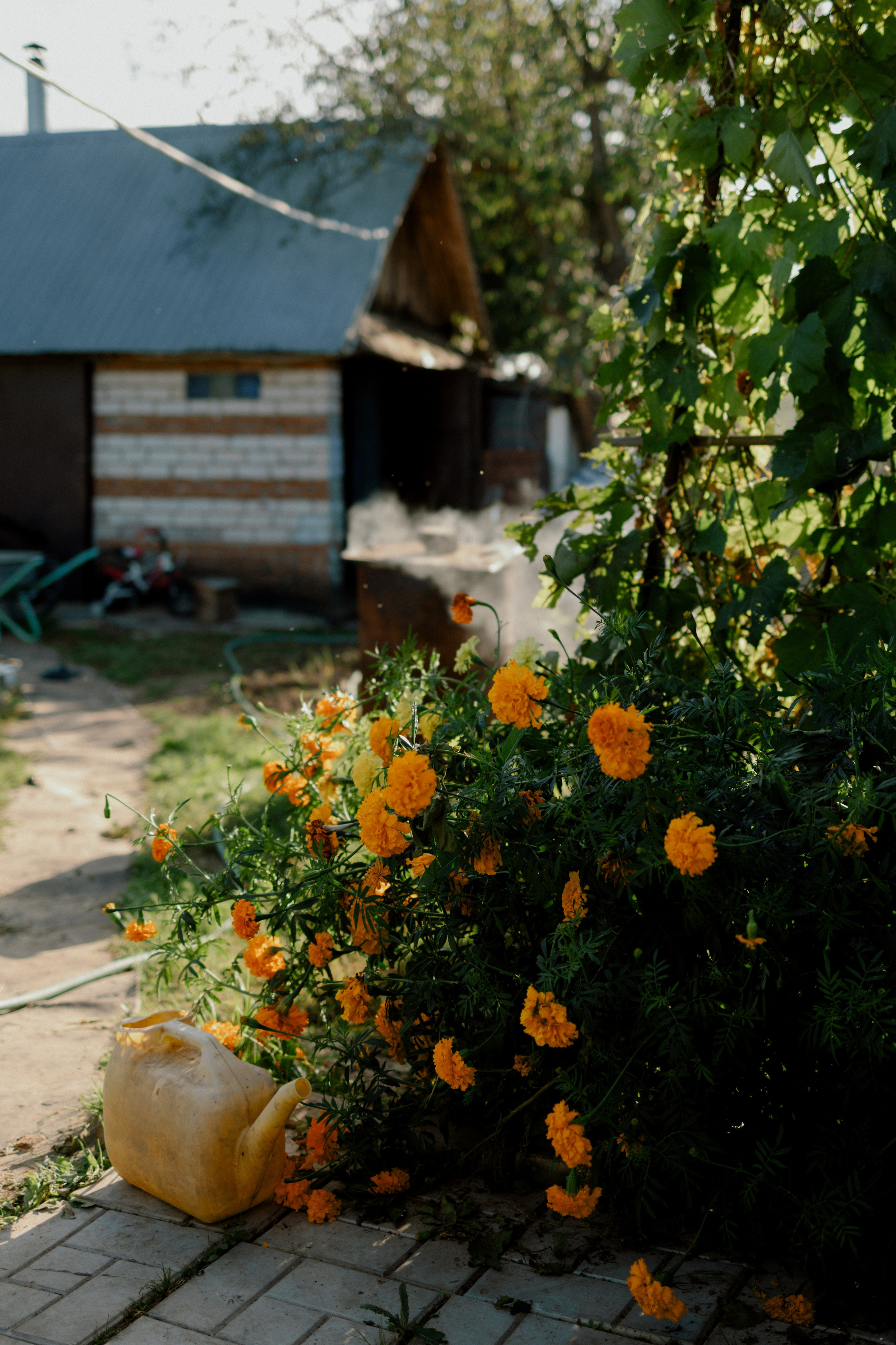 На даче. Семейный фотограф в Казани Татьяна Тюрина