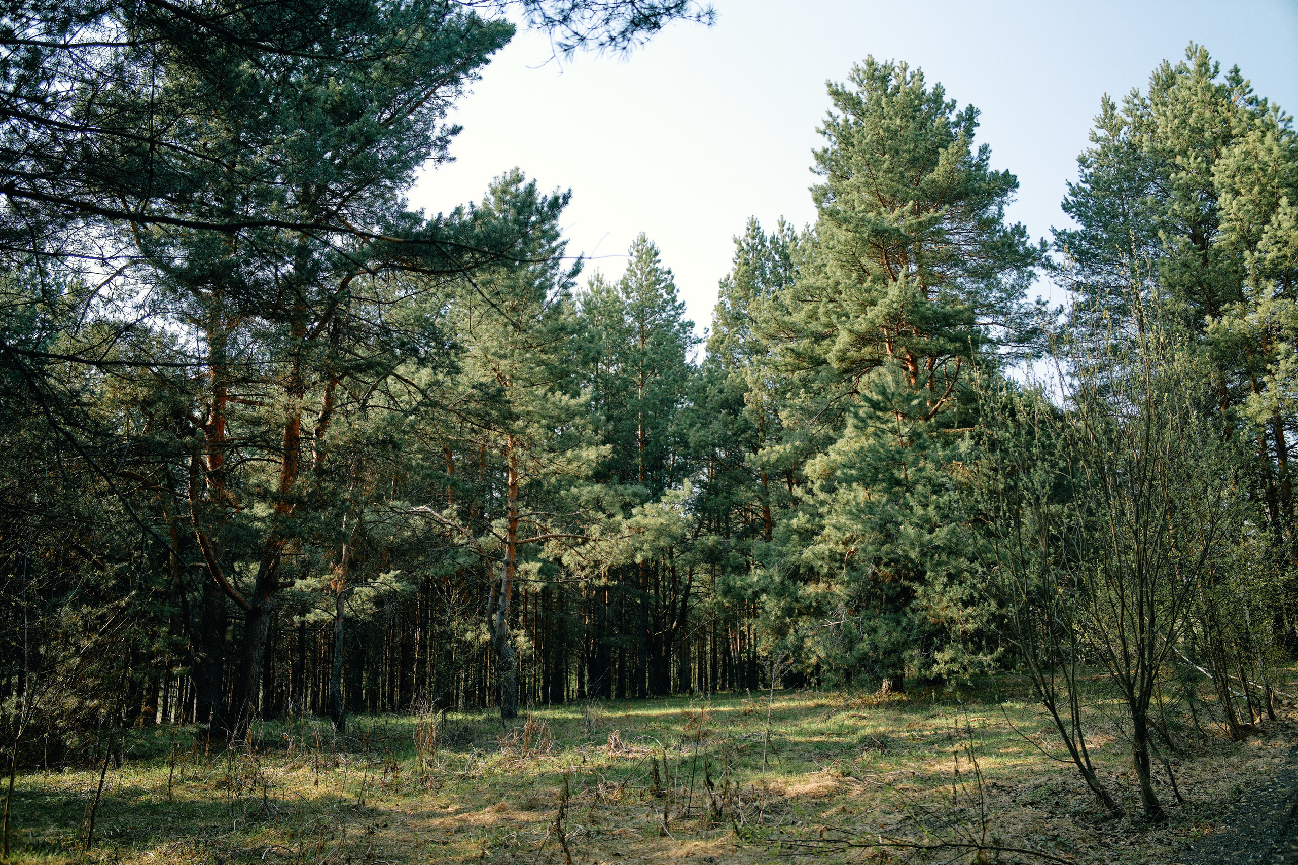 Бутик-отель Поле летом. Профессиональный Фотограф во Владимире, в Москве и в Суздале — Полина Романычева