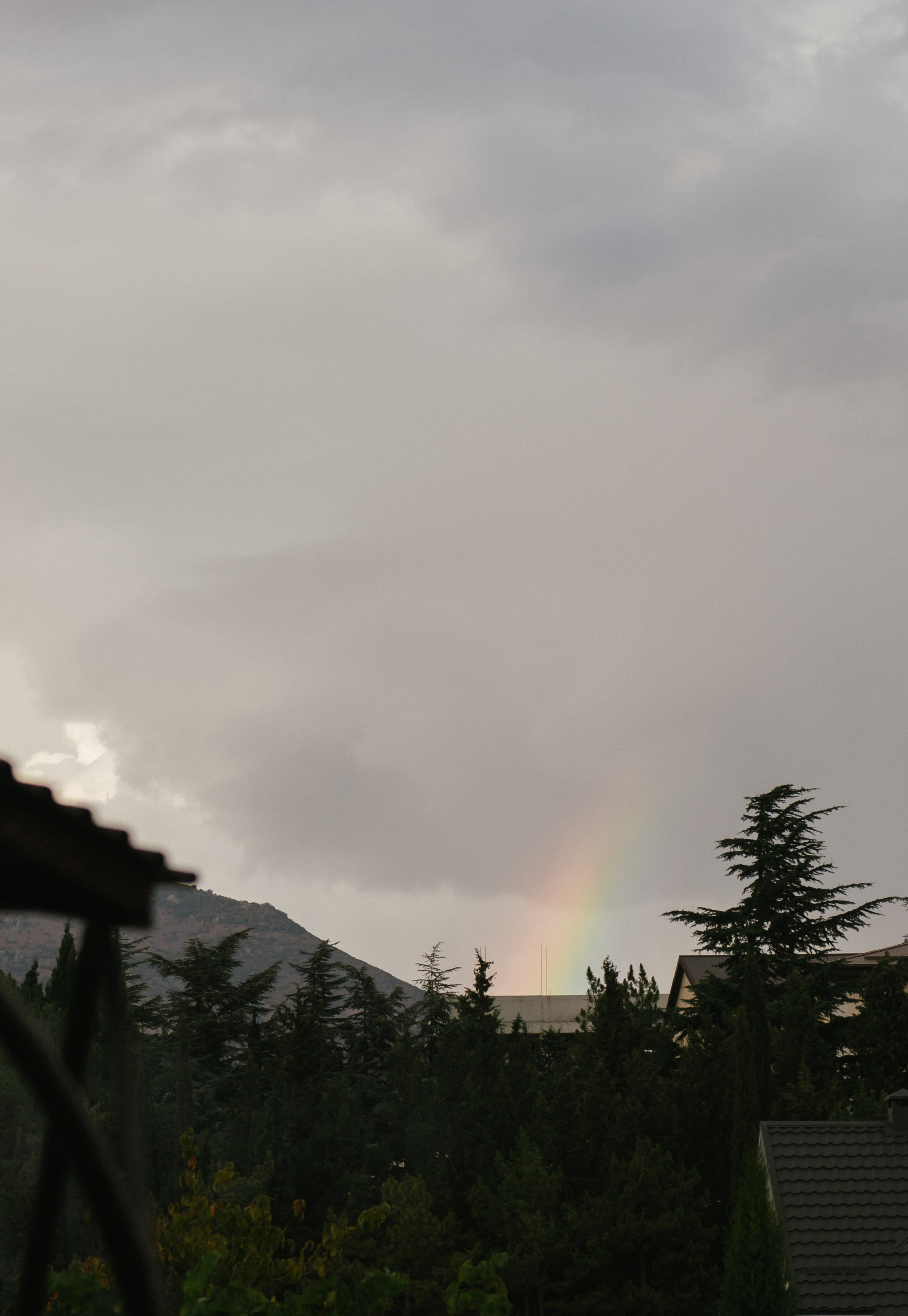 Никита и Настя (Серебряное озеро). Свадебный, женский, семейный фотограф в Севастополе Юлия Мошенко