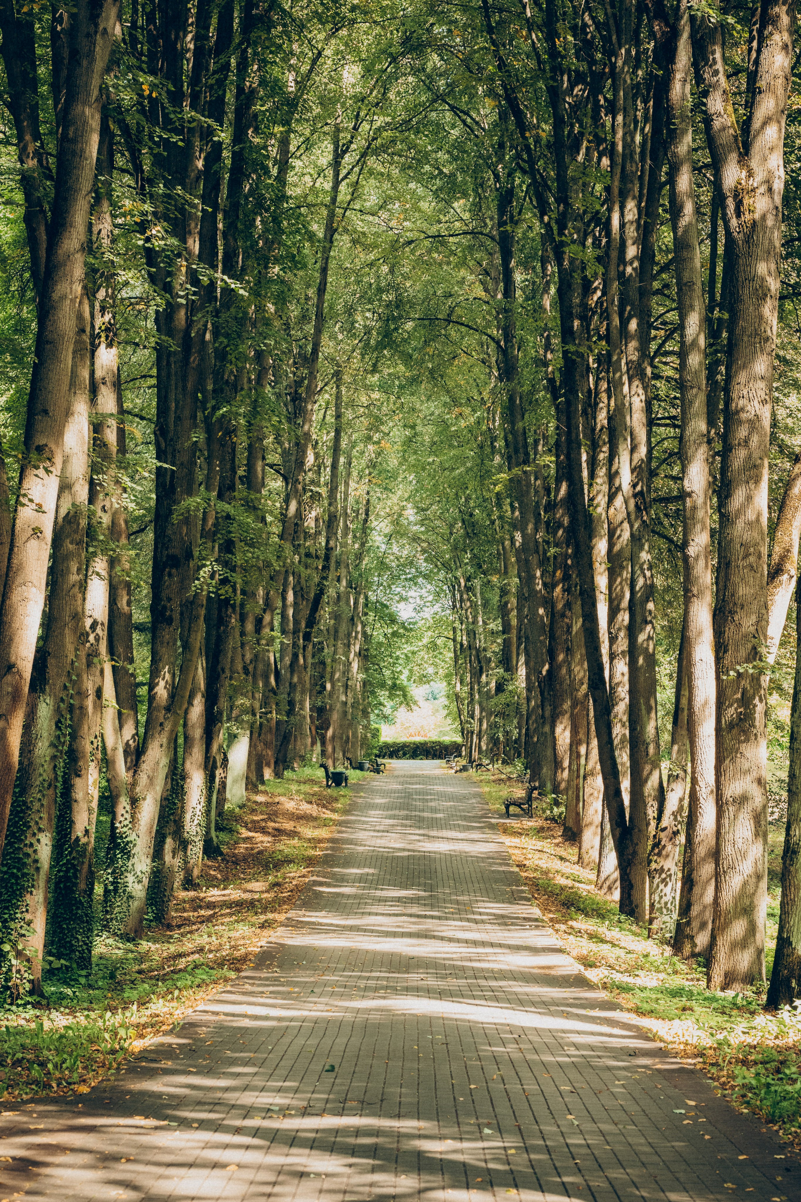 Прогулка в ботаническом саду
