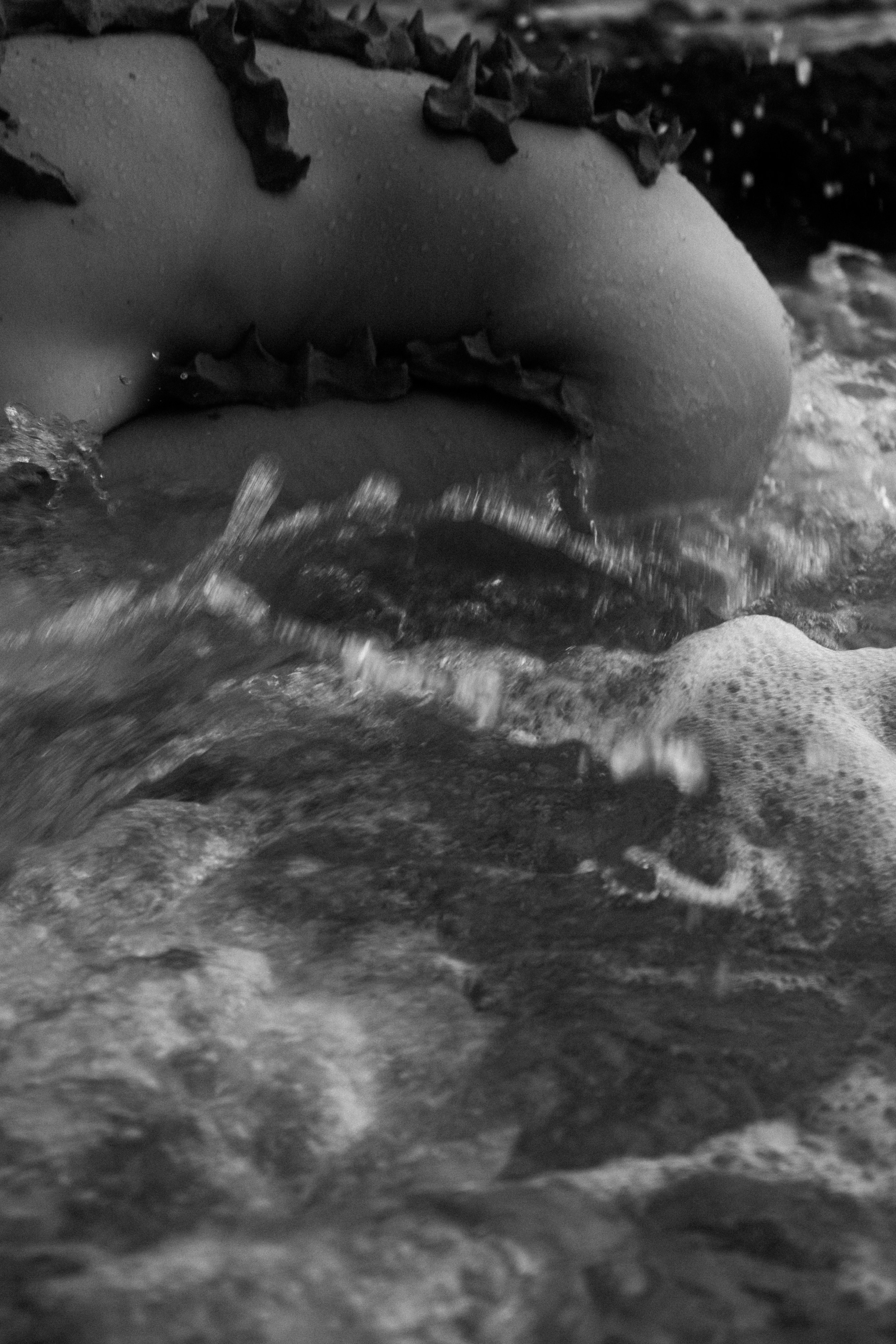 Арт-коллаборация на Шри-Ланке с художницей из Берлина. Фотограф Москва Жуковский Раменское